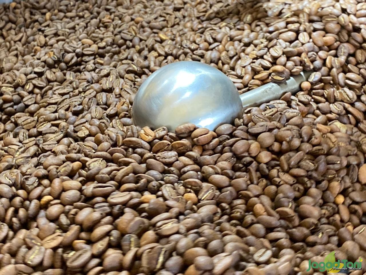 Dunia Kopi, Surga Wisata Kopi Nusantara di Jakarta