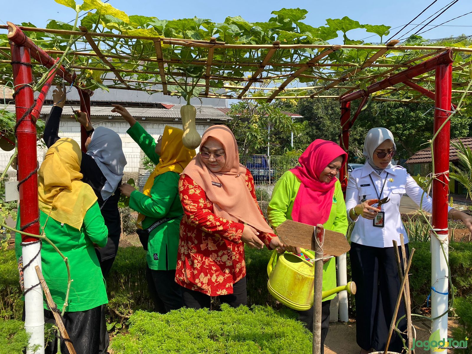 Budidaya Labu Madu Dipilih Kelas Berkebun Taman Kuda Laut