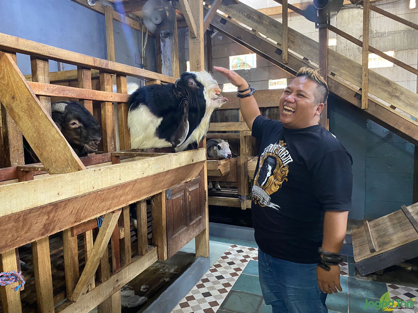 M.Syukur pemilik Zyan Farm
