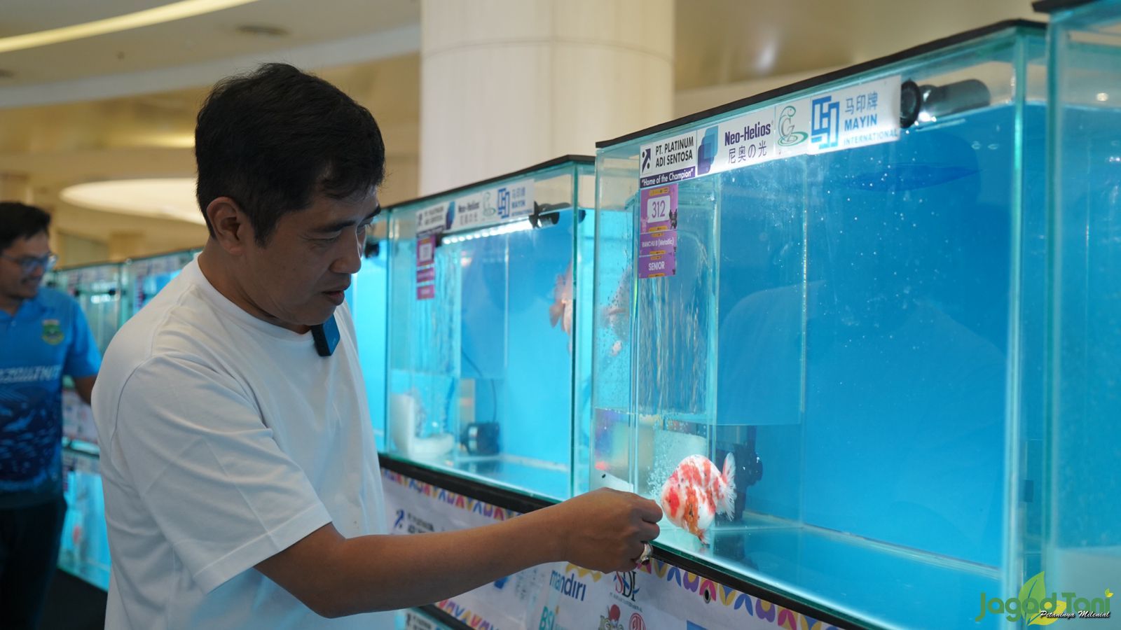 Kontes ikan mas koki - AQUAFEST 2023