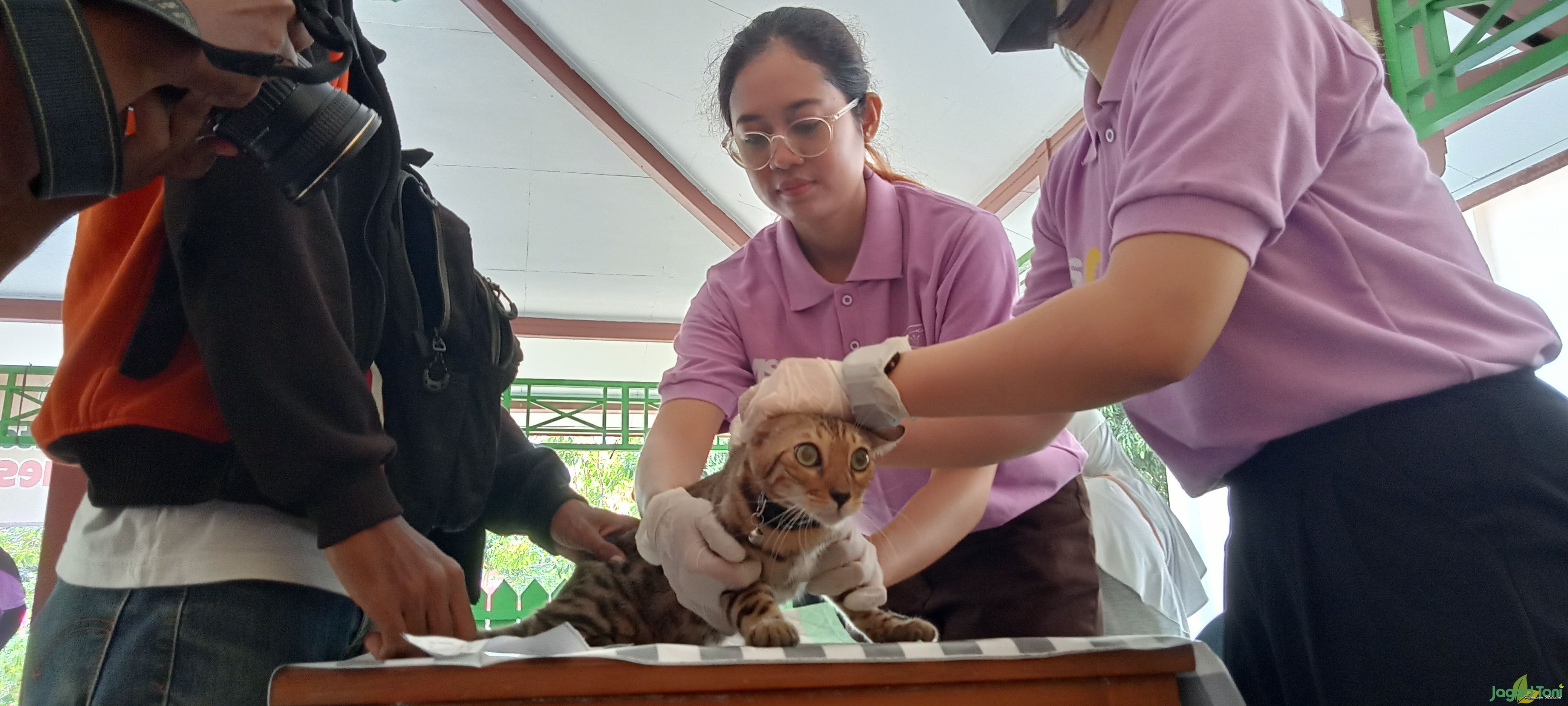 Kegiatan vaksinasi hewan peliharaan di Kantor DKPP Klaten
