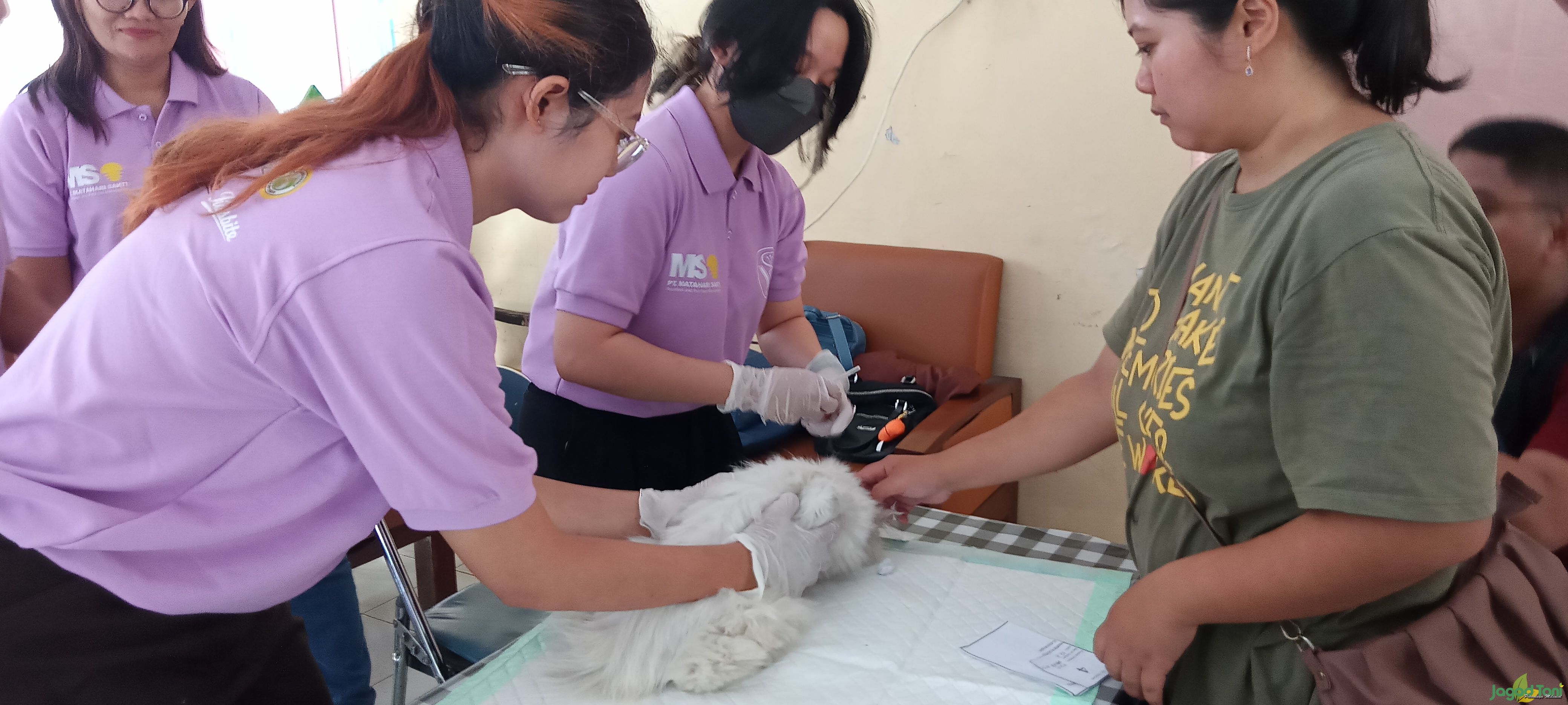 Kegiatan vaksinasi hewan peliharaan di Kantor DKPP Klaten