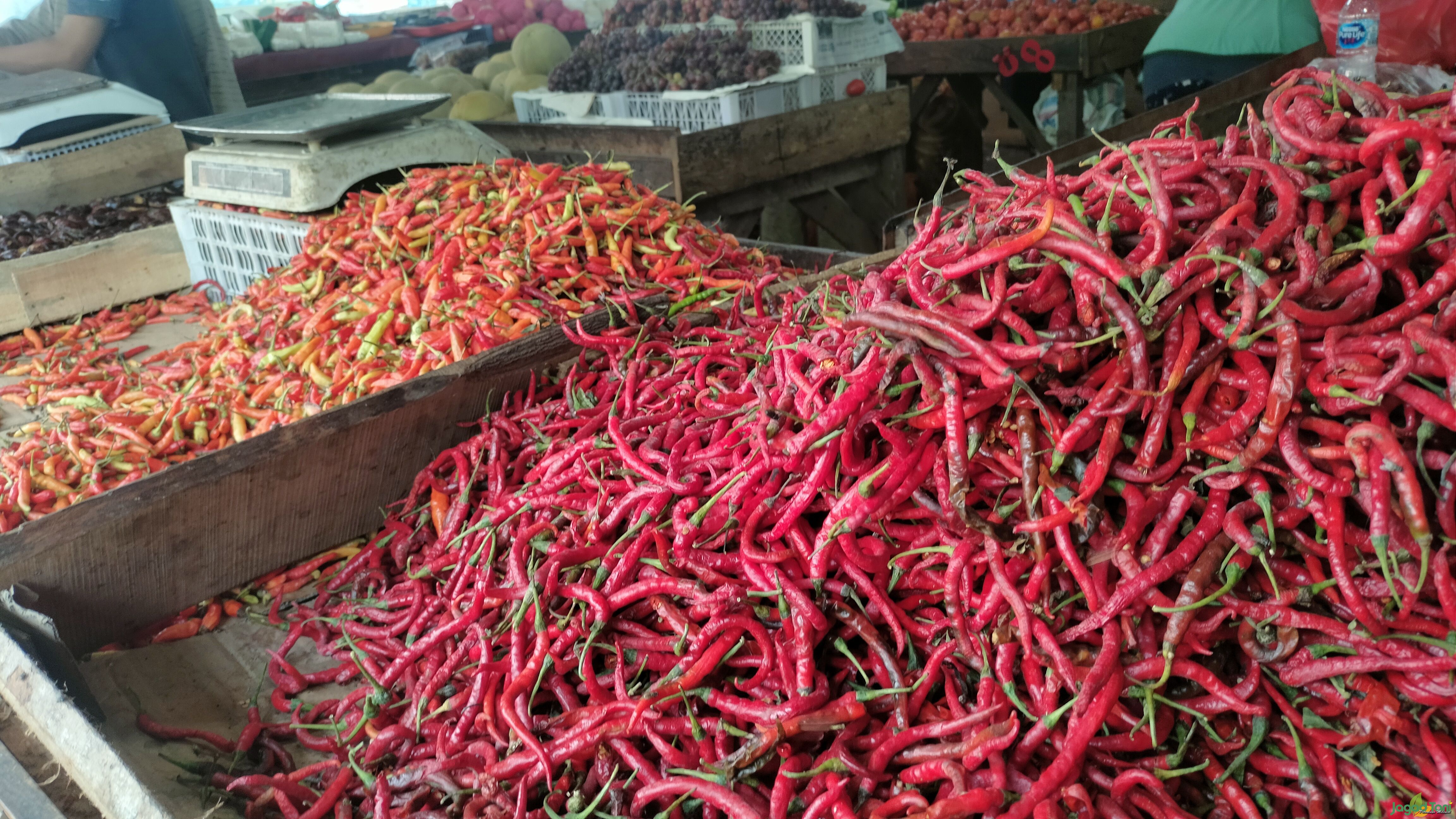 Harga cabe di Bekasi