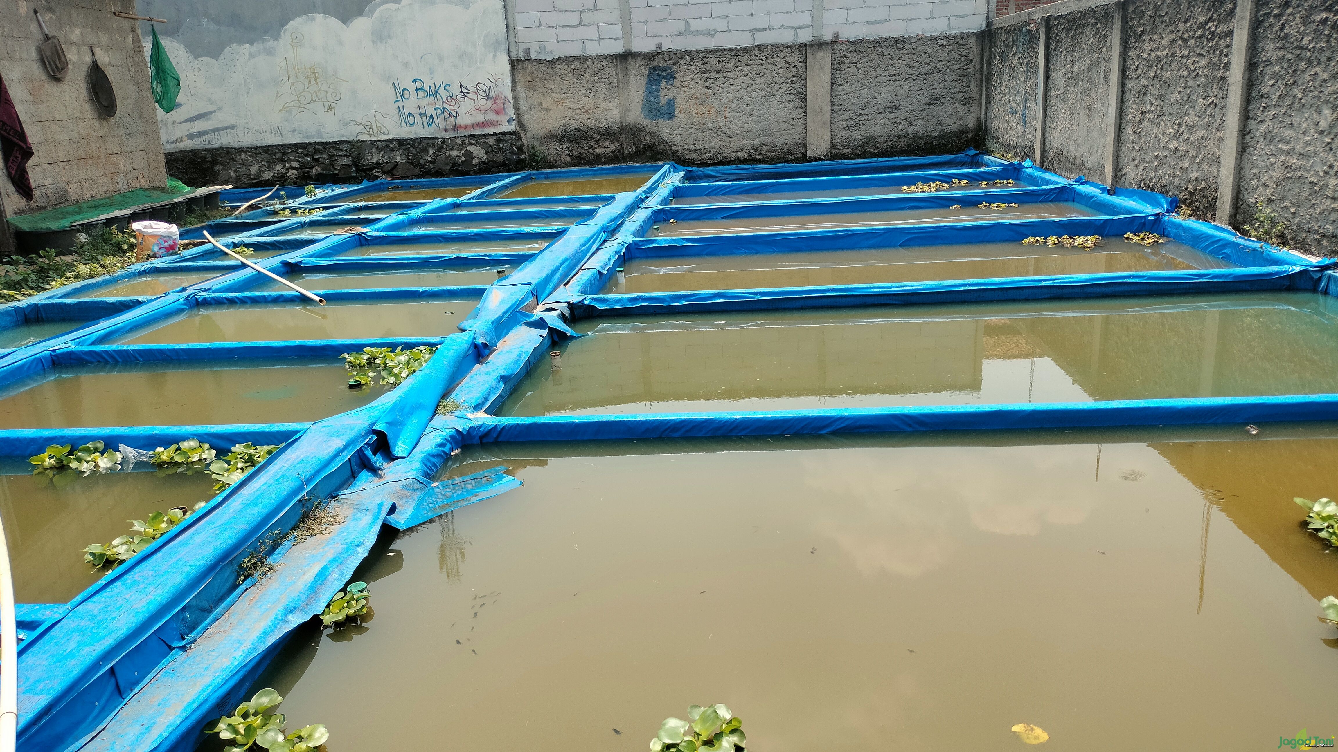 Kolam ikan berbahan terpal