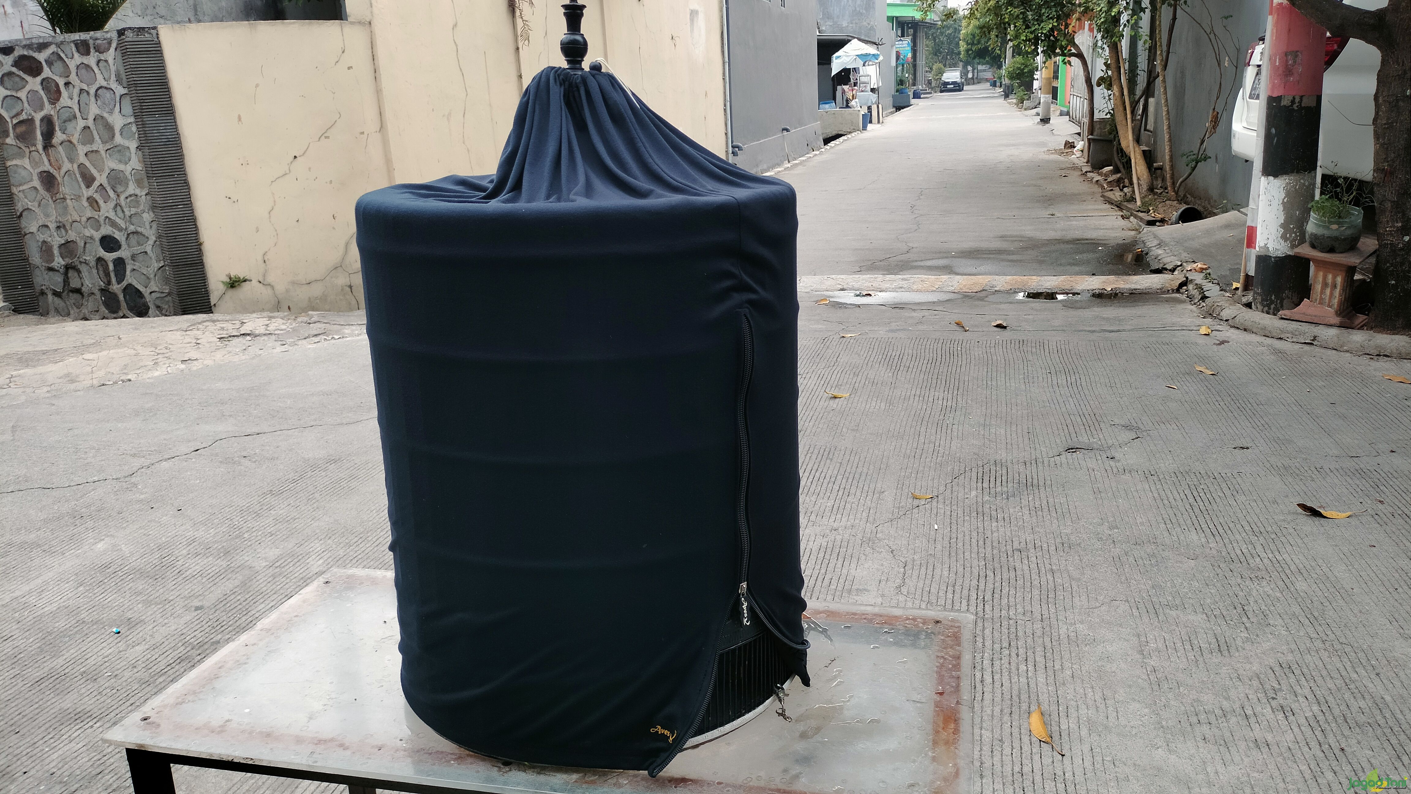 Menjemur murai batu