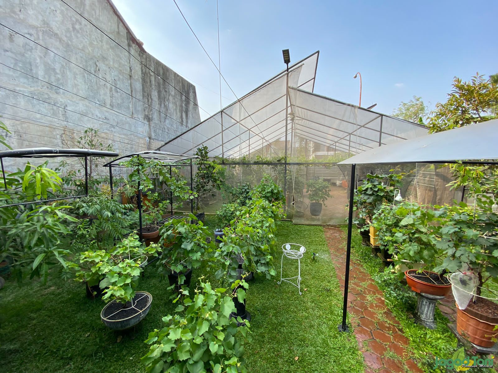 Urban farming