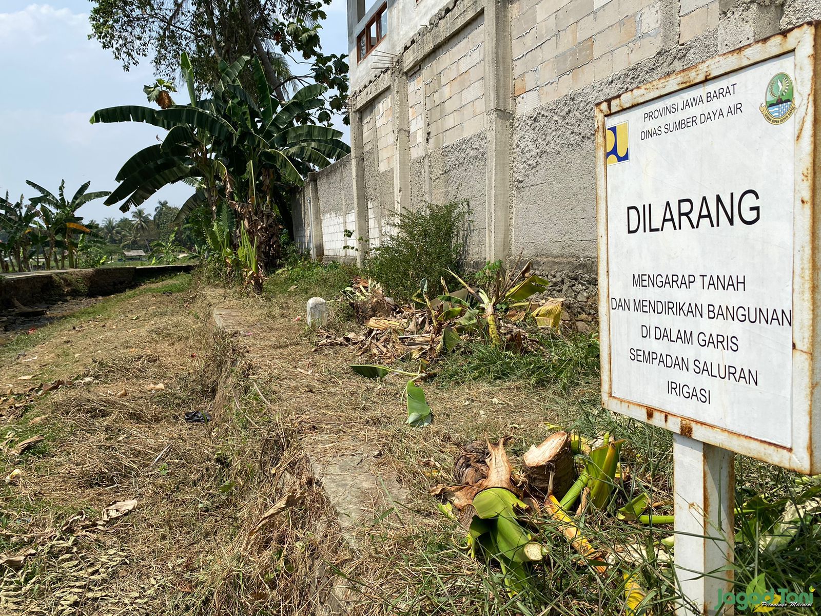 Irigasi di Ciseeng Bogor