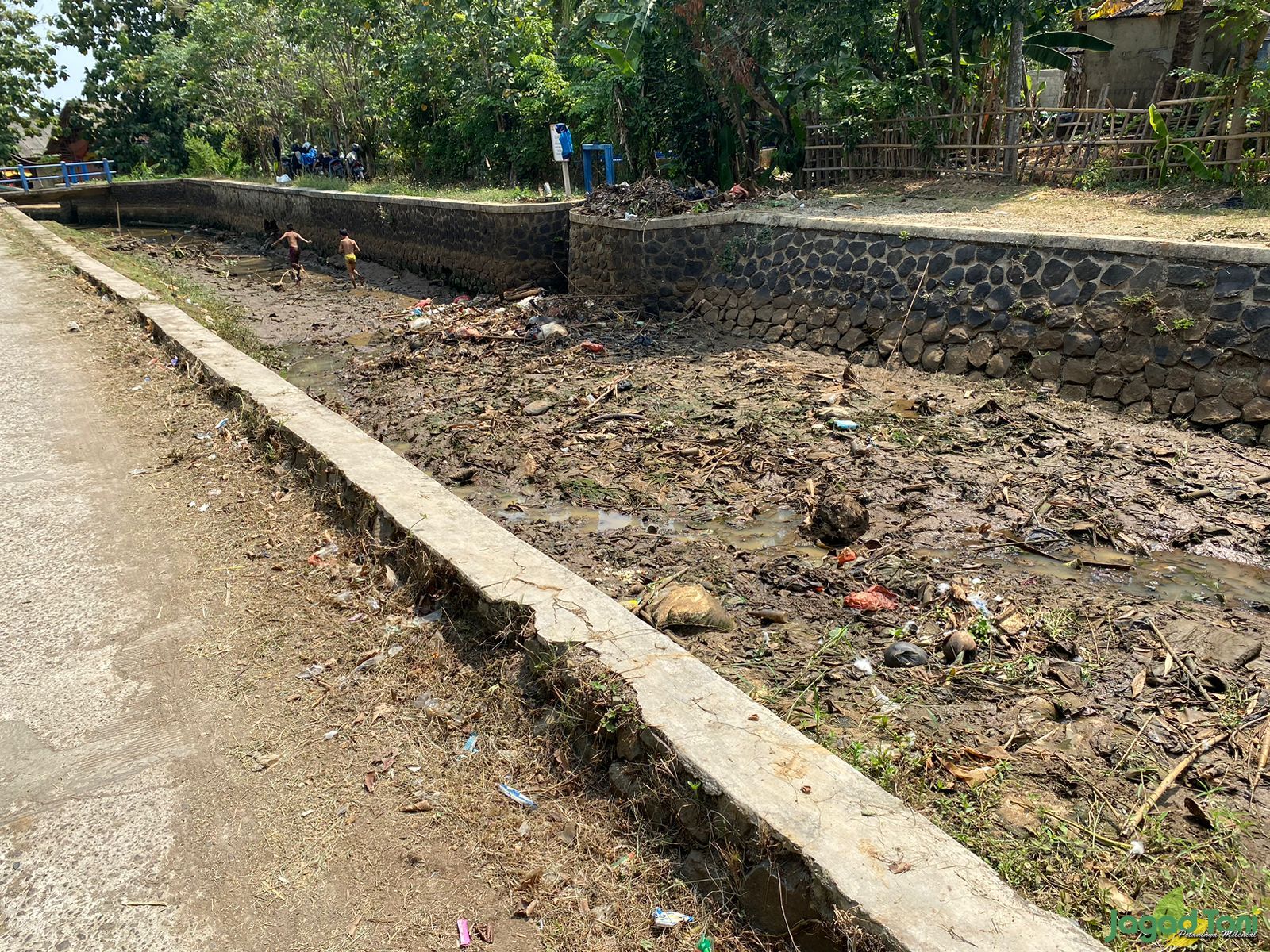 Pendangkalan Irigasi Ancam Budidaya Ikan Hias Ciseeng