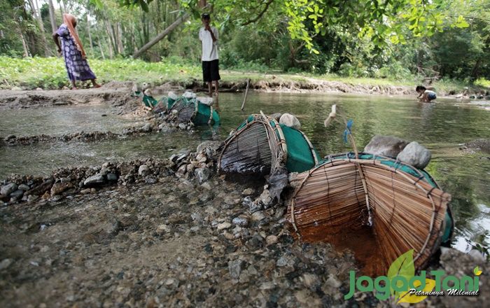 Tradisi Menangkap Ikan Nike di Parimo