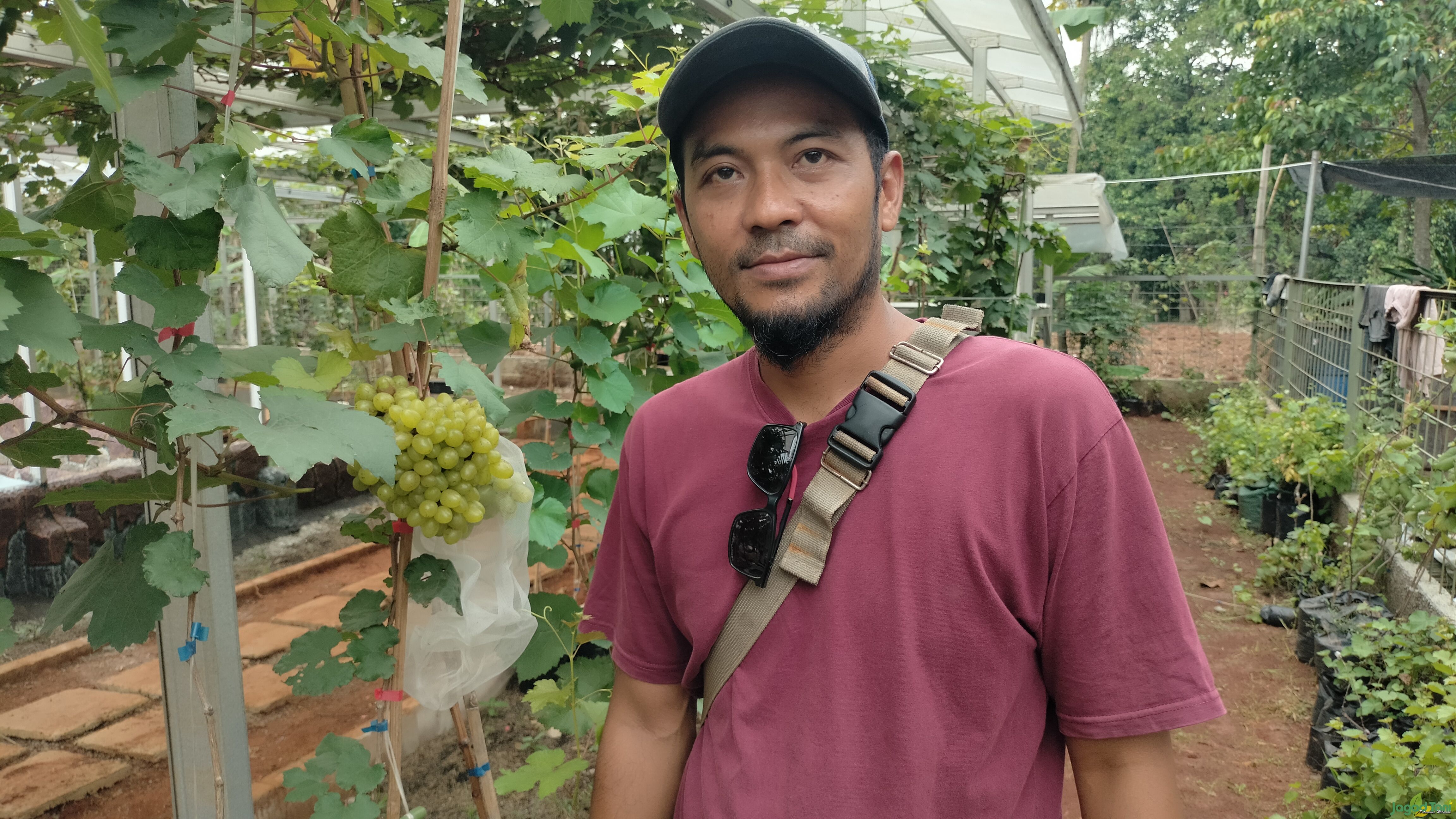 Muanam - Pemilik Gaizh Grape n Resto 