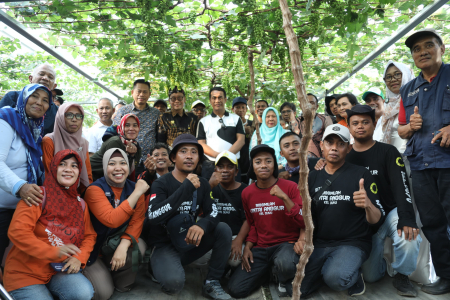 Petani anggur kelompok tani Duyu Bangkit