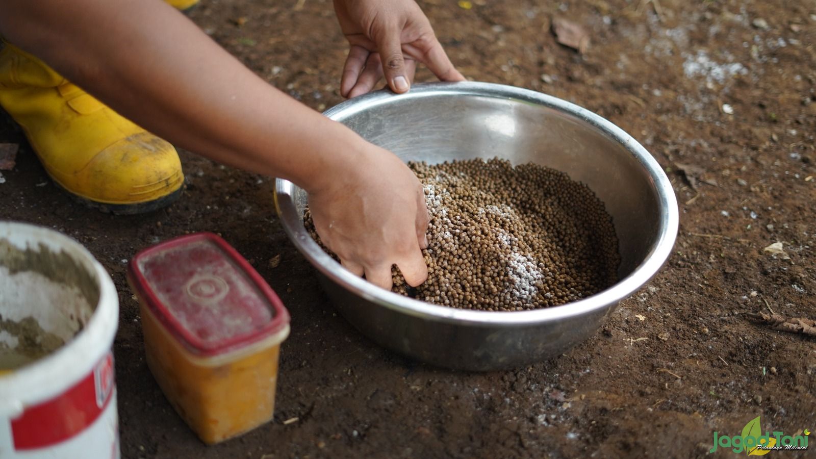 Mengenal Karakter Pakan Ikan dan Kandungannya