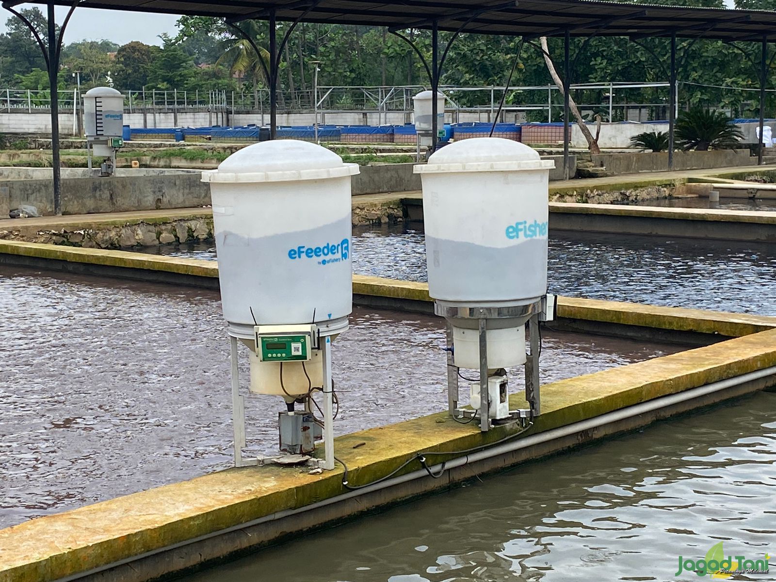 e-fishery permudah pemberian pakan ikan