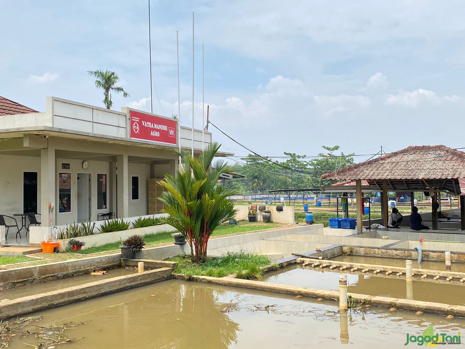 PT Vatra Mandiri Agro andalkan pakan Anorganik 