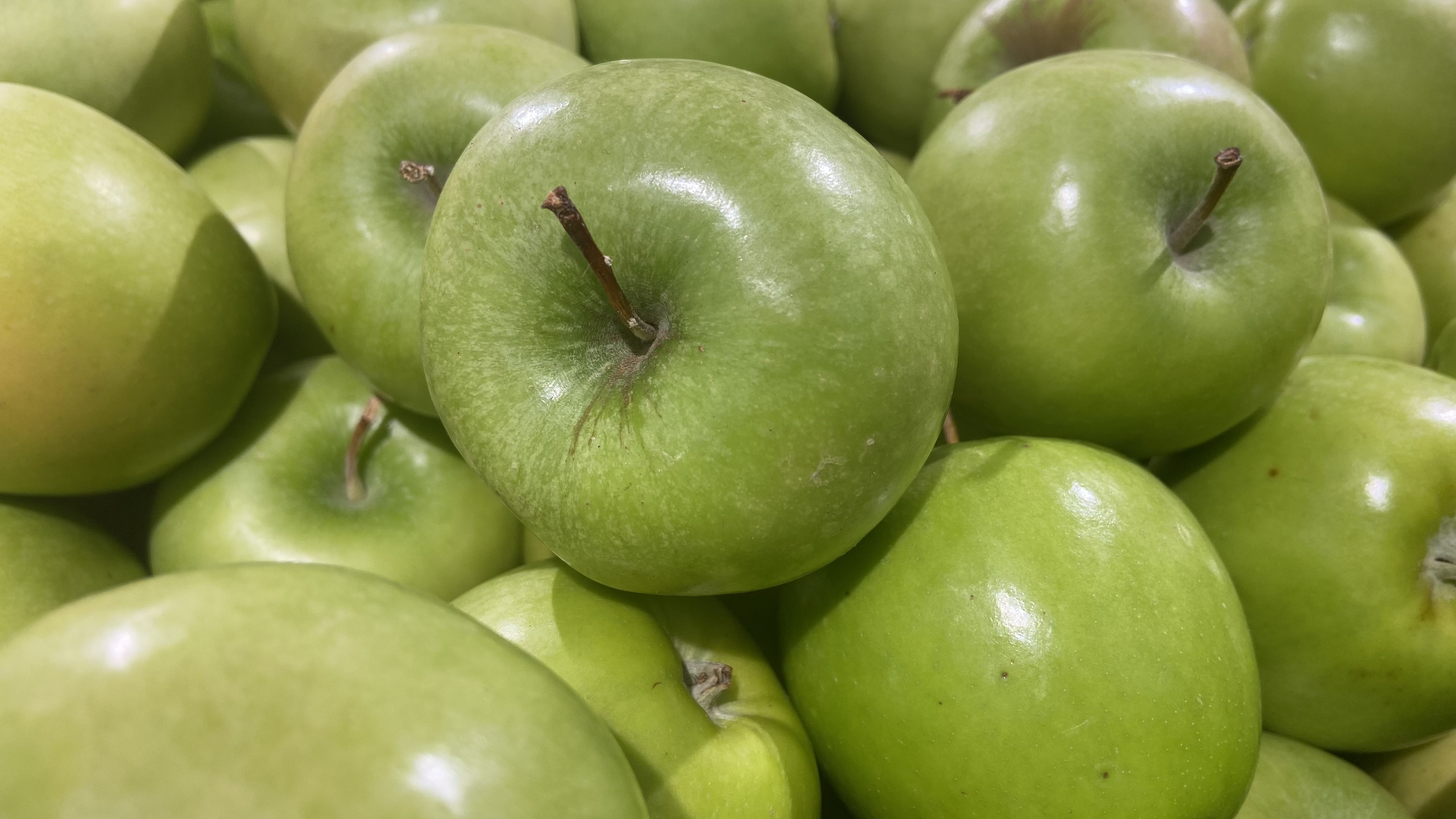 Apel Granny Smith Malang