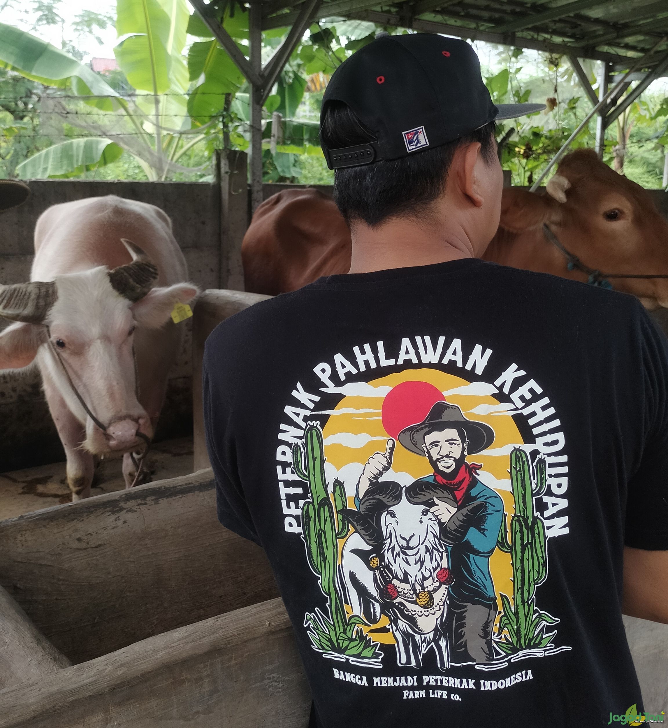 Peternak Pahlawan kehidupan 