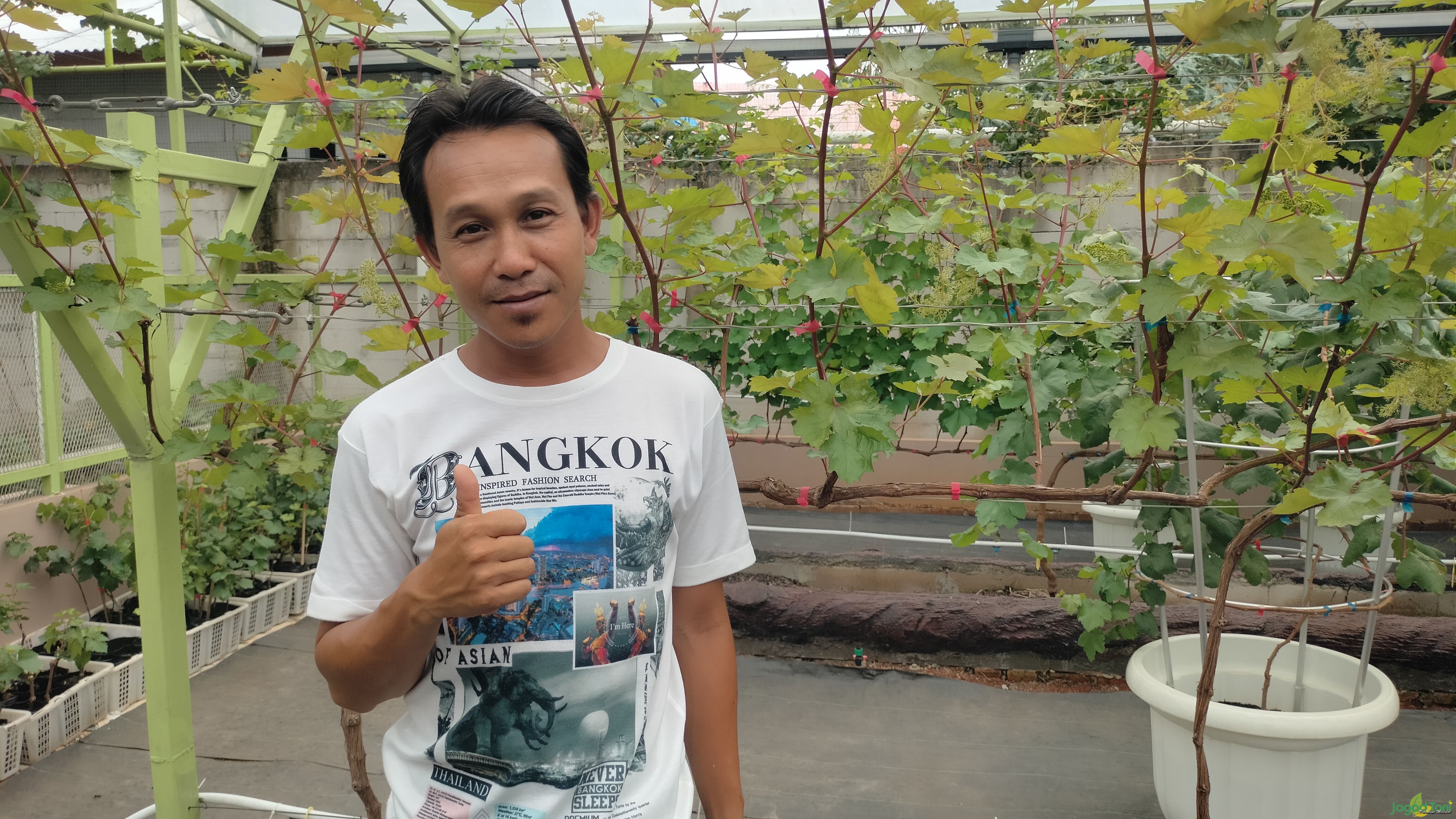Ipoel War-Wer pemilik Kebun Taman Langit Grape 
