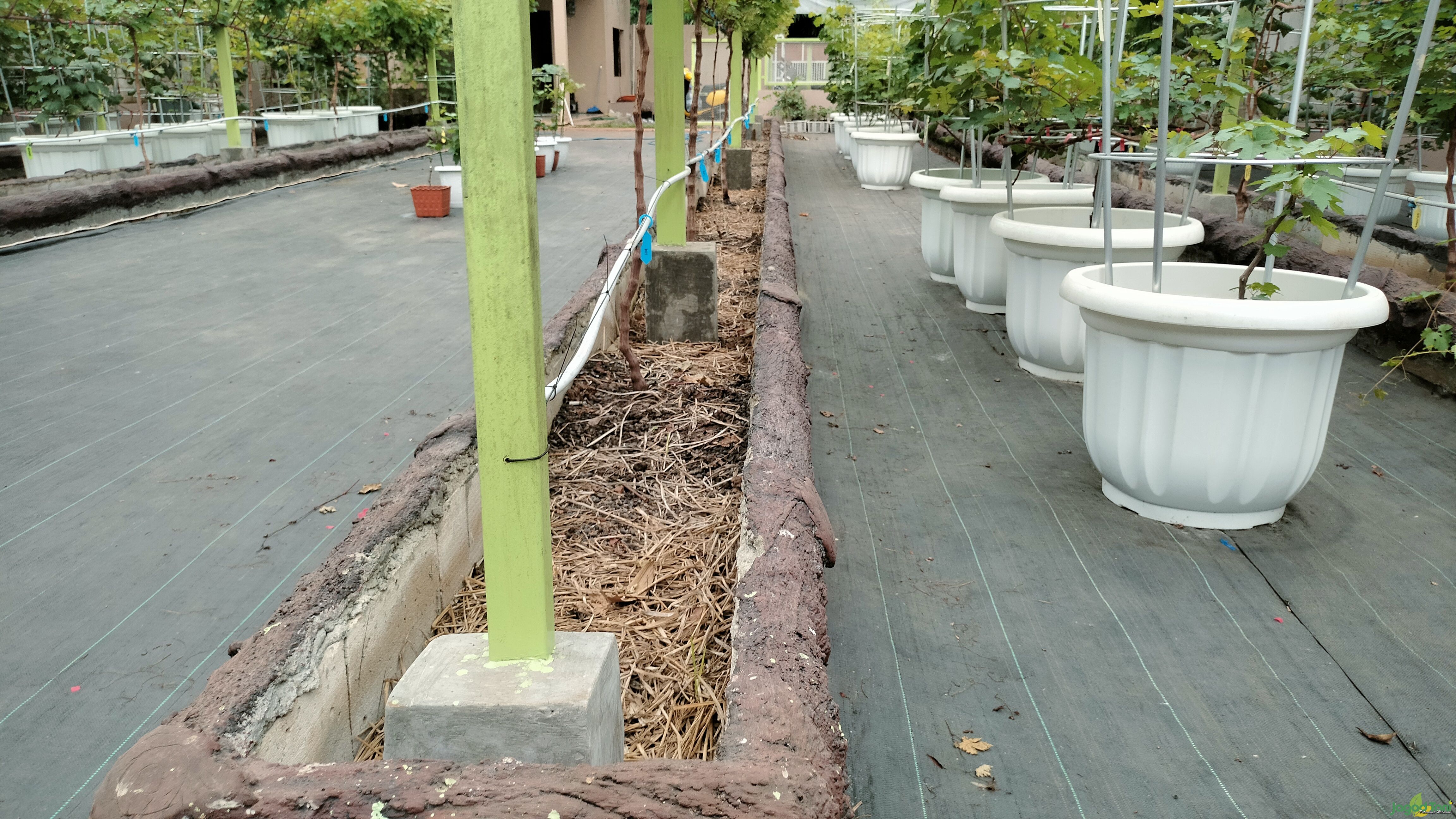 Taman Langit Grape Bekasi 