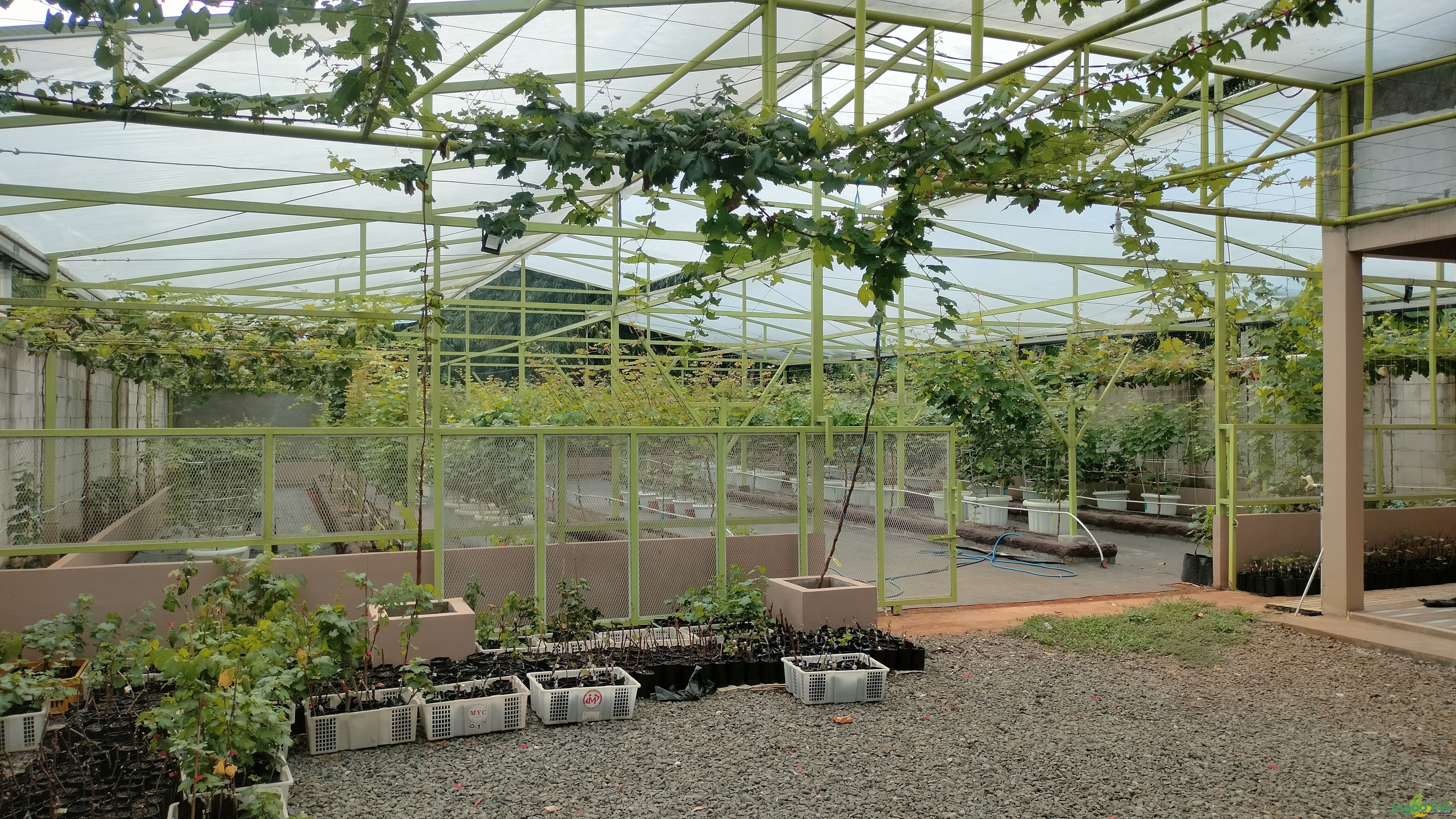 Taman Langit Grape di Bekasi 