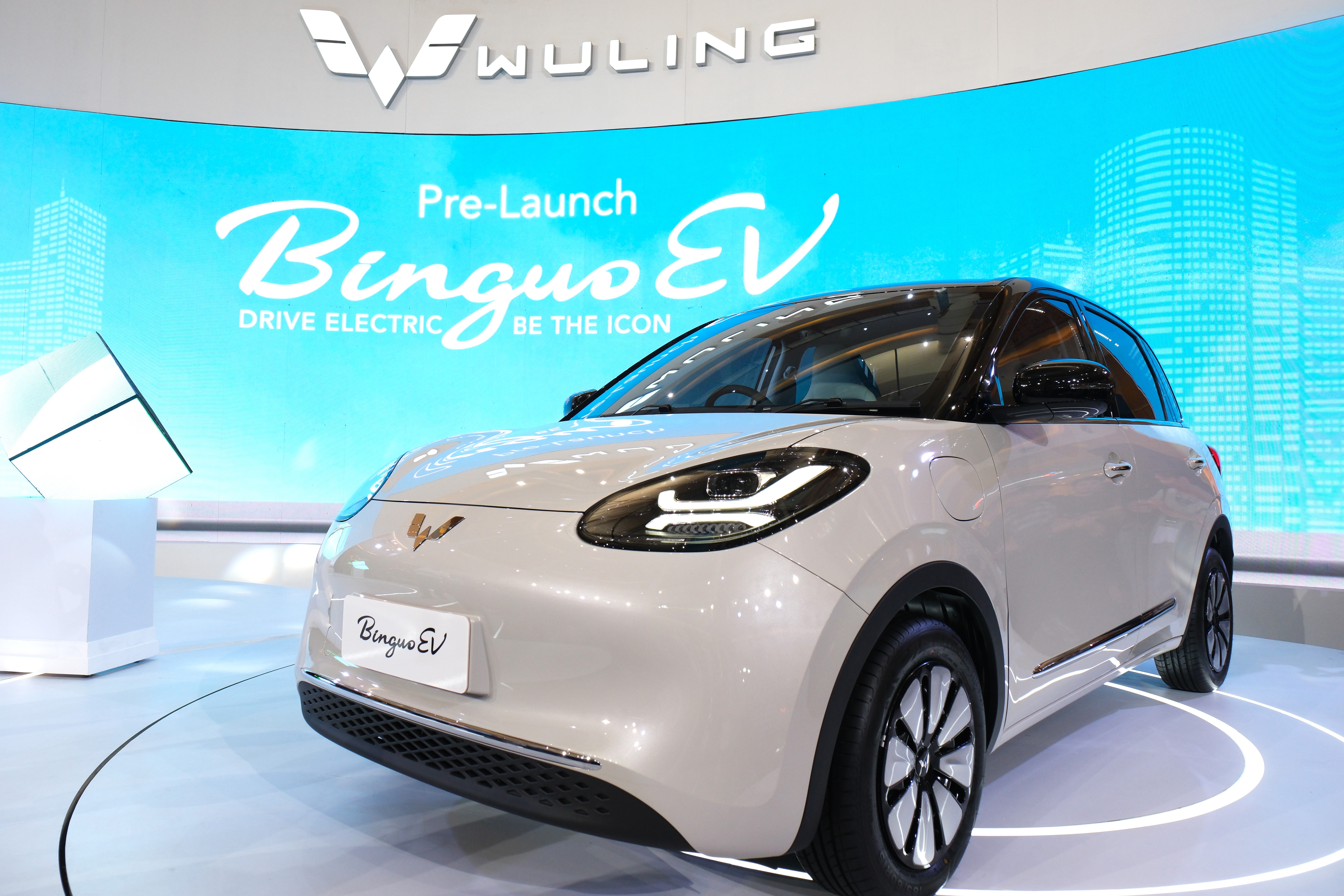 Wuling BinguoEV 
