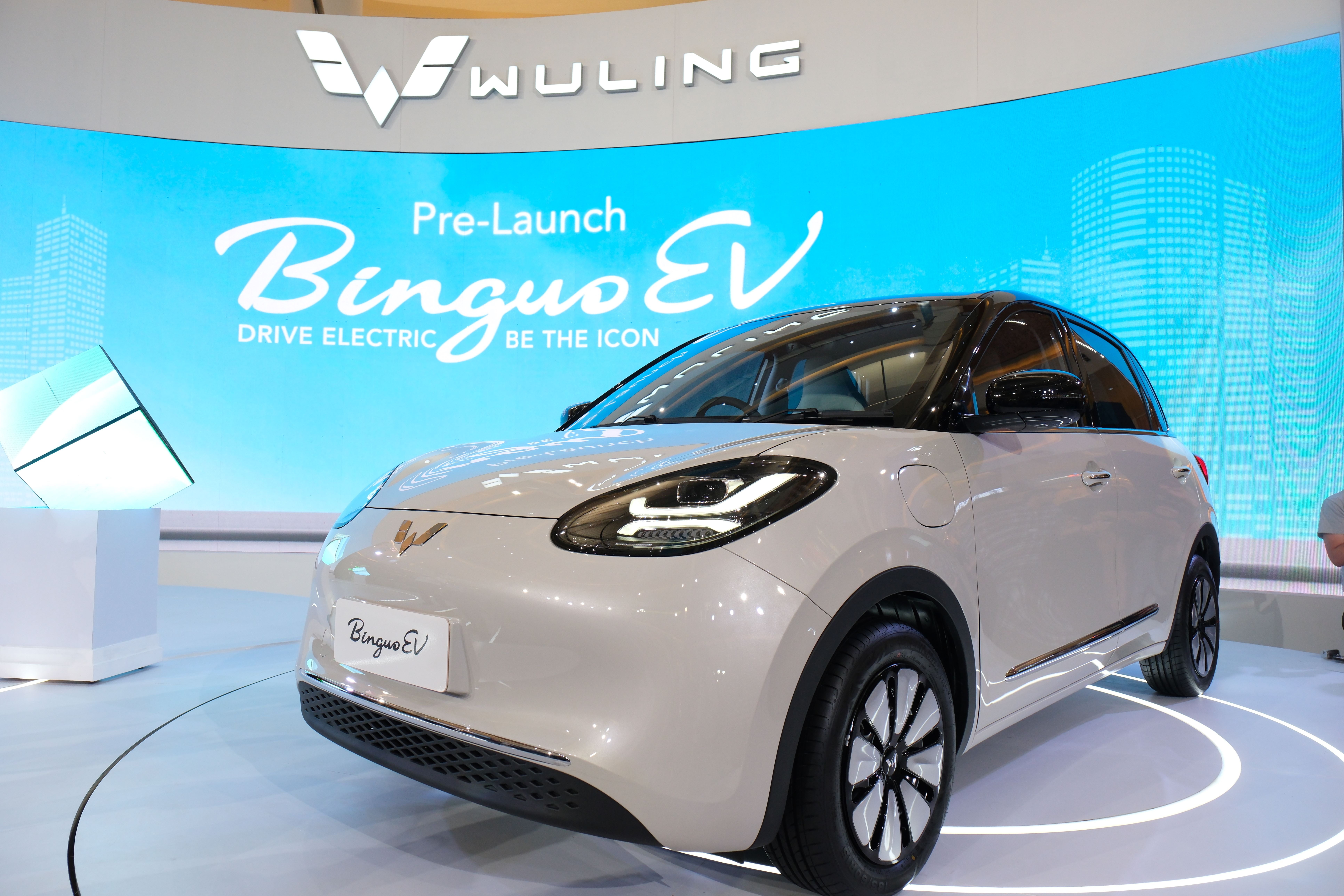 Wuling BinguoEV 