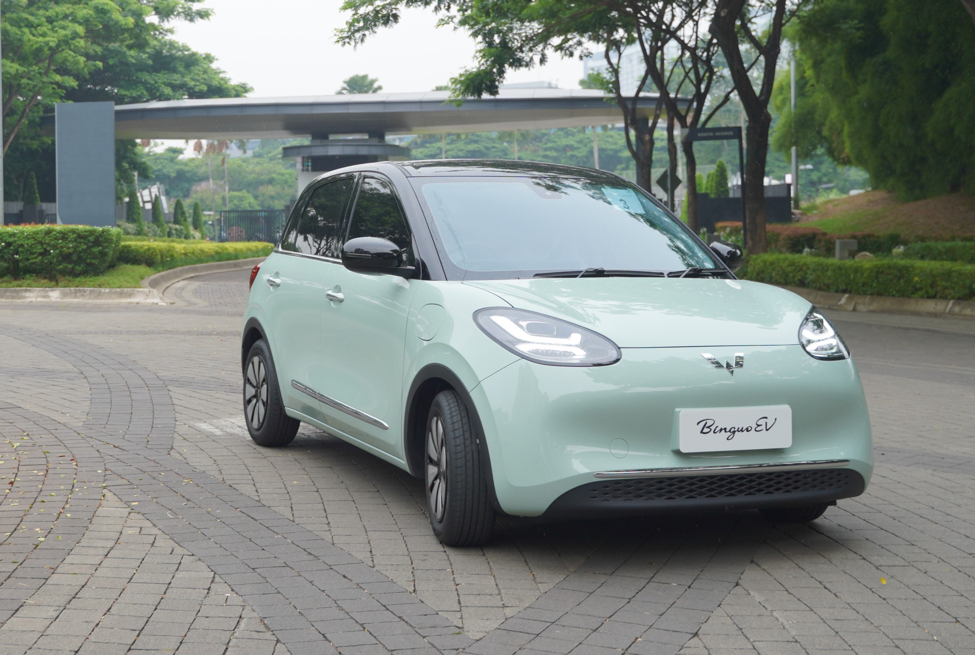Wuling BinguoEV 