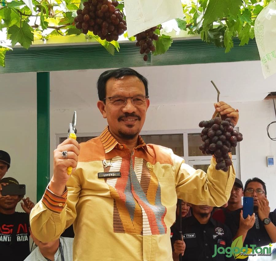 Liferdi Lukman,SP,M,Si, - direktur buah dan florikultura.direktorat jendral holtikutura