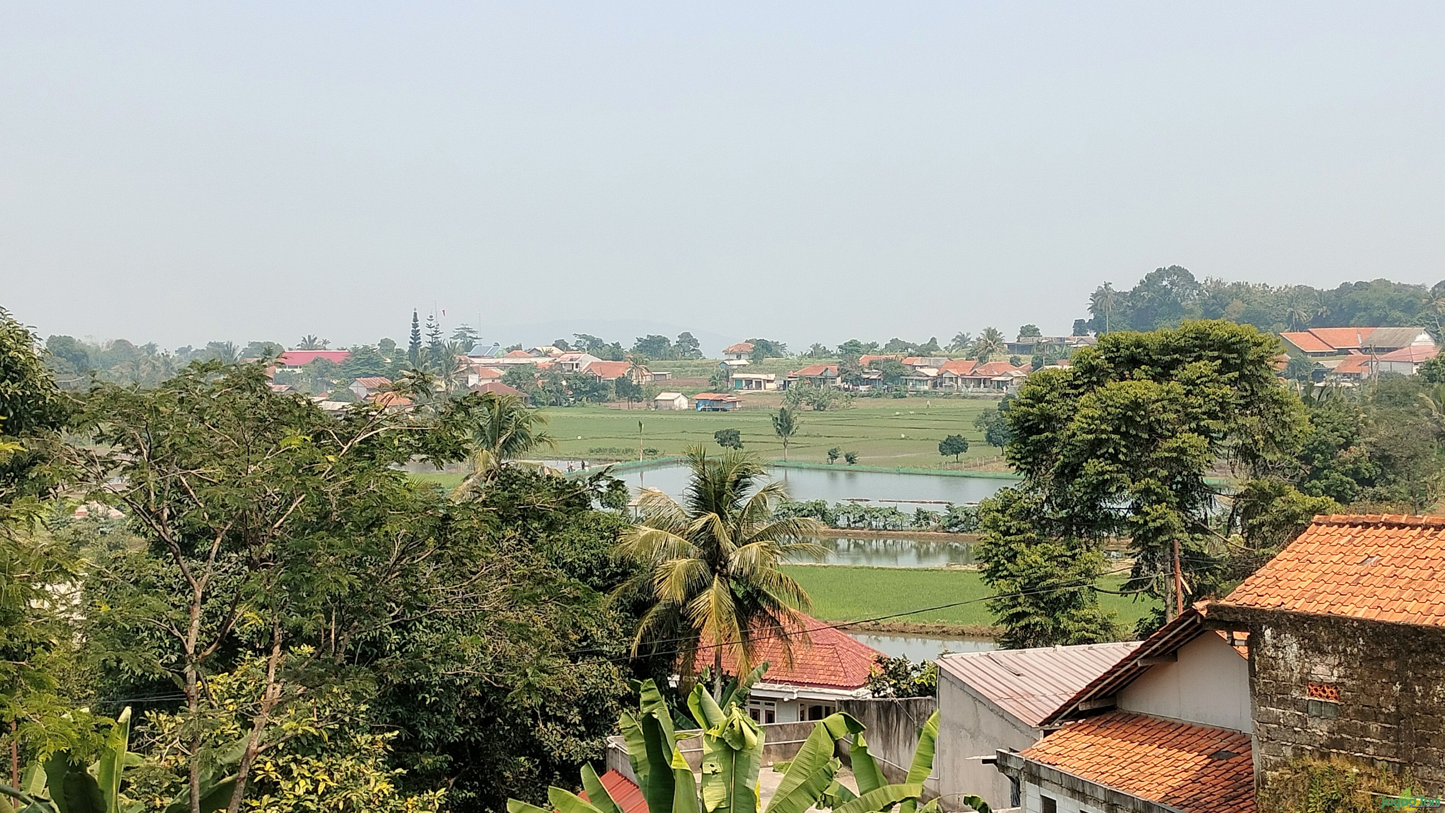 Pemandangan di sekitar 5 Eyes Farm 