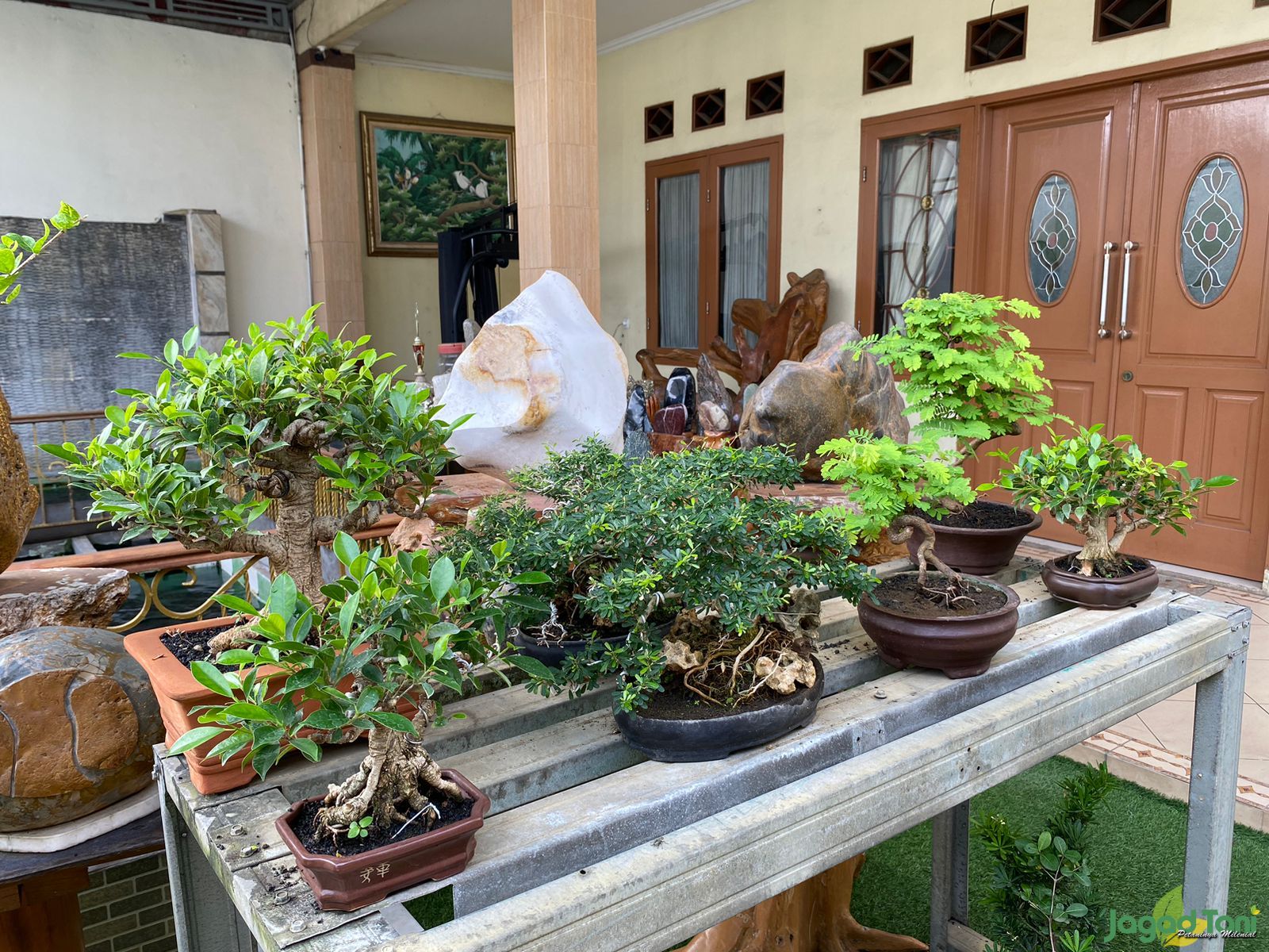 Klinik Bonsai - Bekasi 