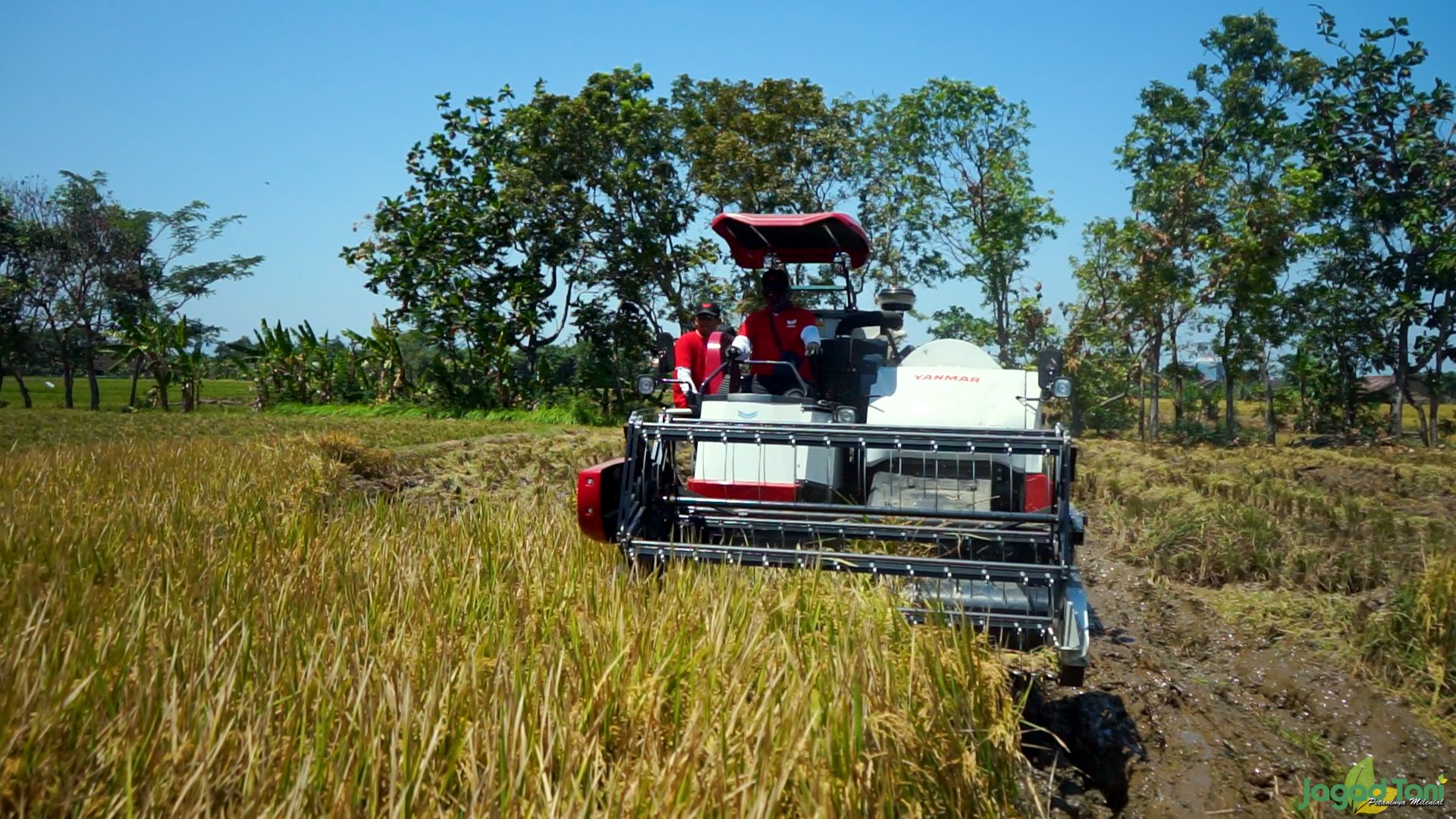 Yanmar AW 70 VW 