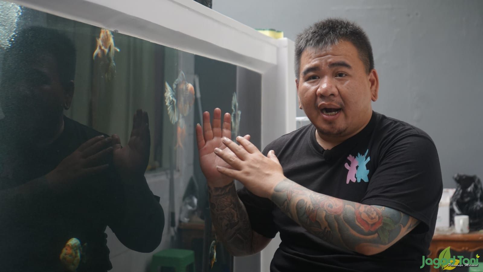 Reyner pemilik RR Goldfish dan juri nasional kontes ikan mas koki 