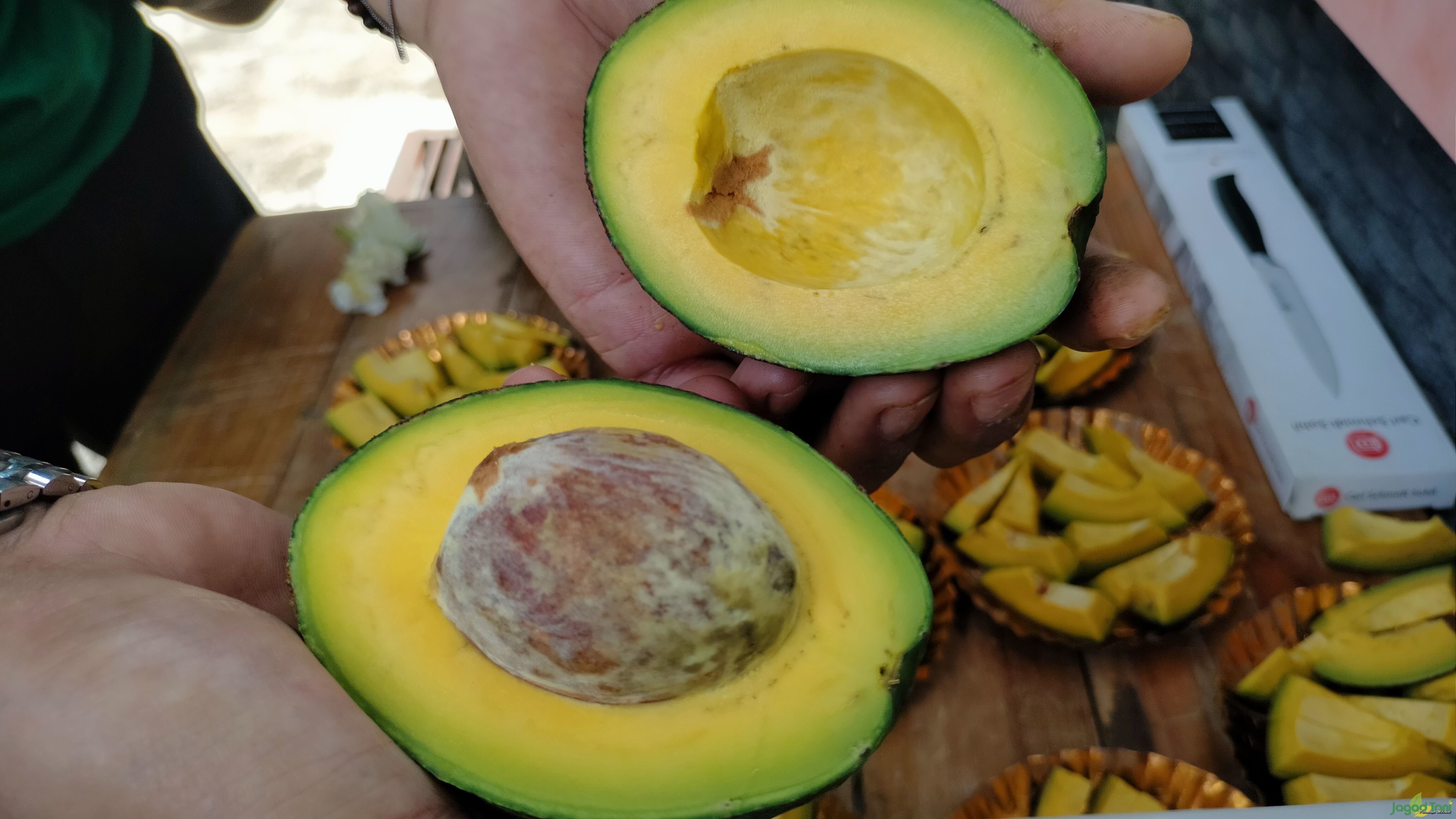 Daging buah alpukat TA21 Sukahati 