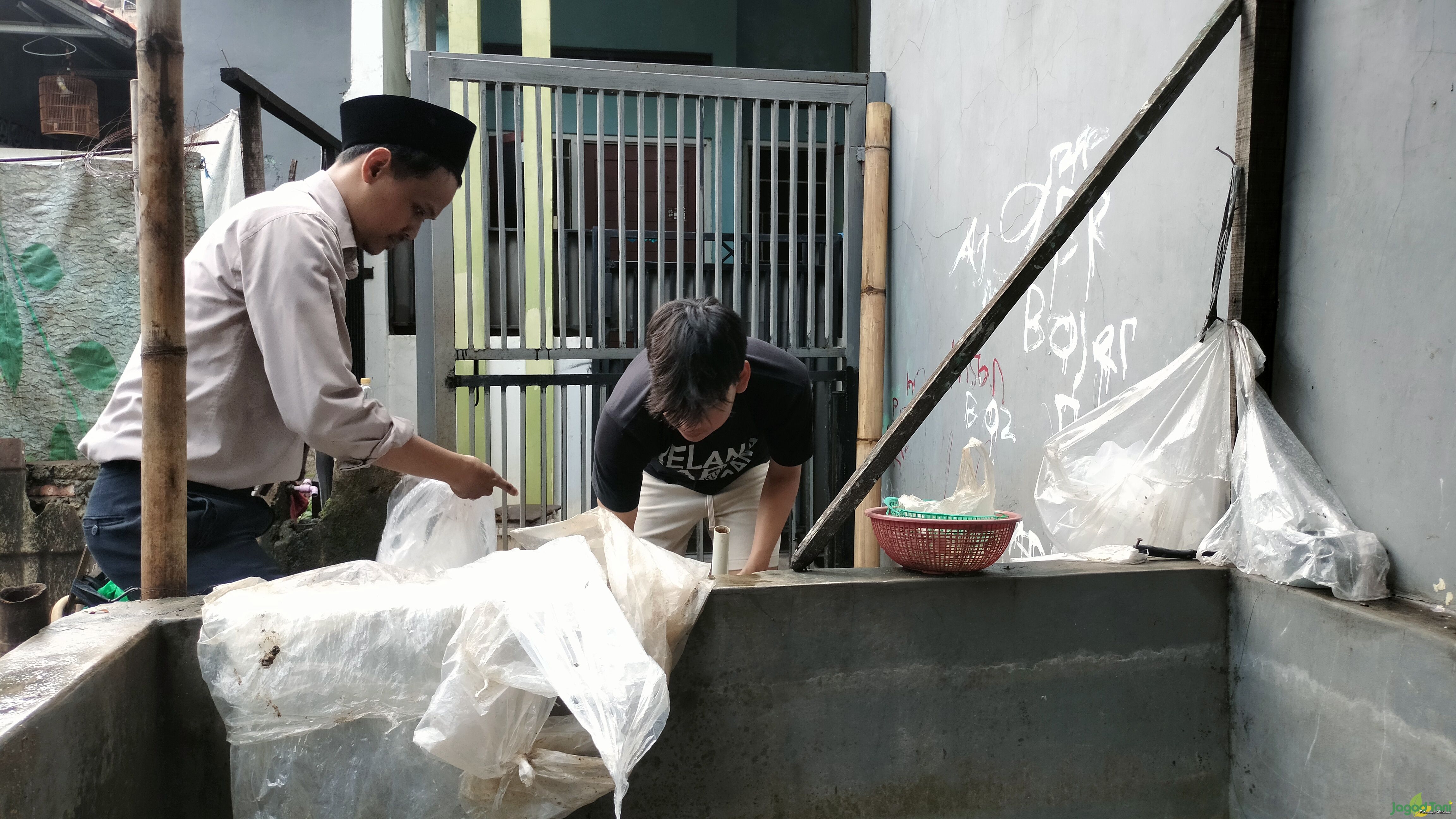 Febri Setiawan menyiapkan pesanan bibit ikan lele