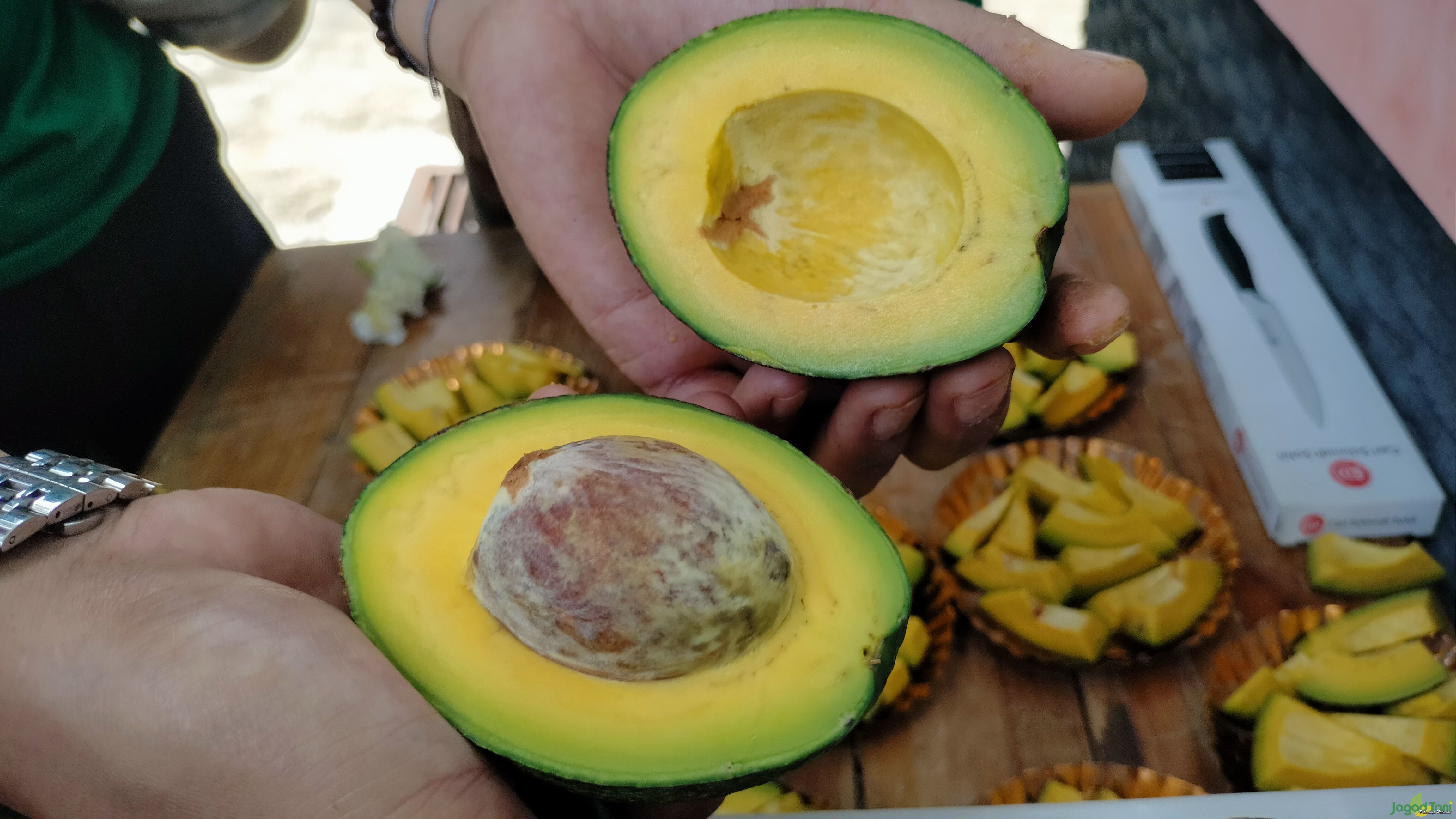 Daging buah alpukat TA21 Sukahati 