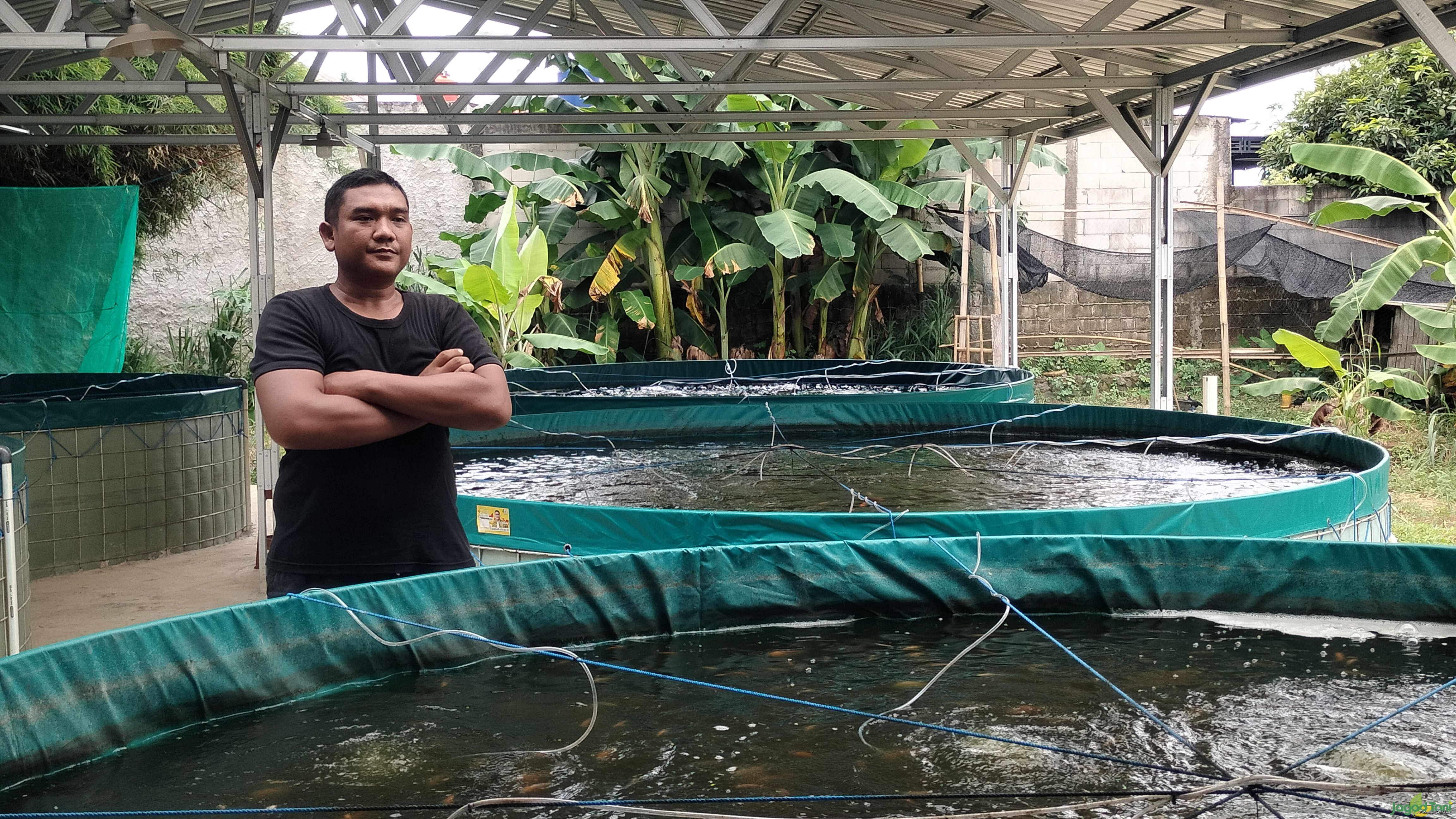 Arif Hadianto - Pokdakan Kujang Utama Siliwangi 