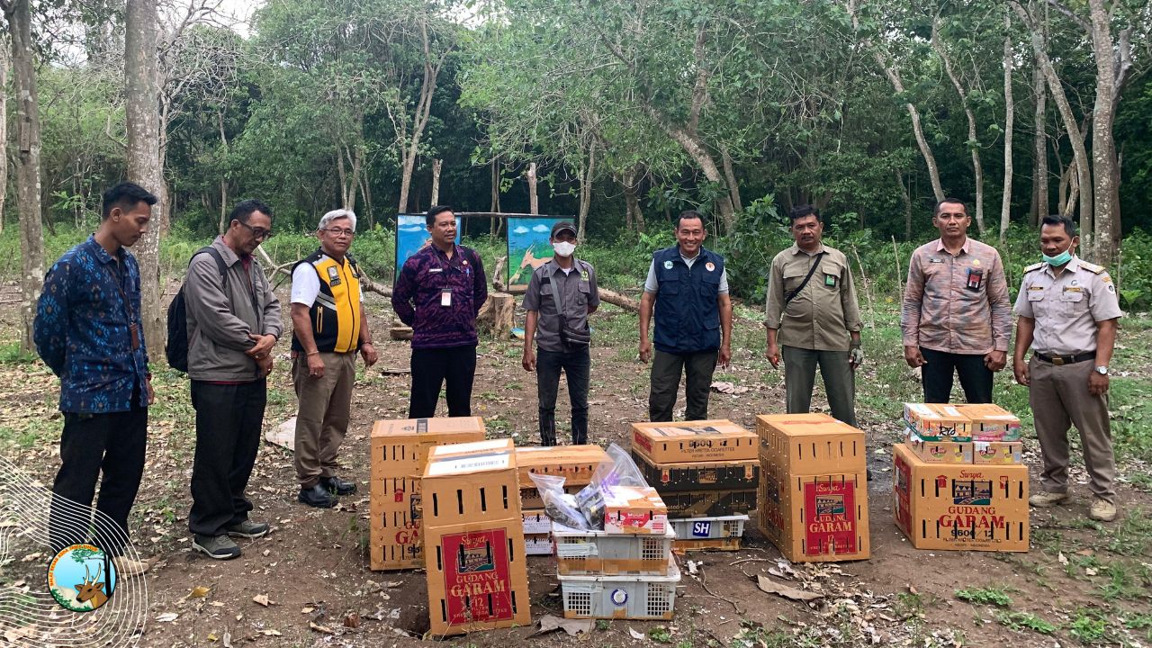 Penggagalan penyelundupan Burung di Banyuwangi 
