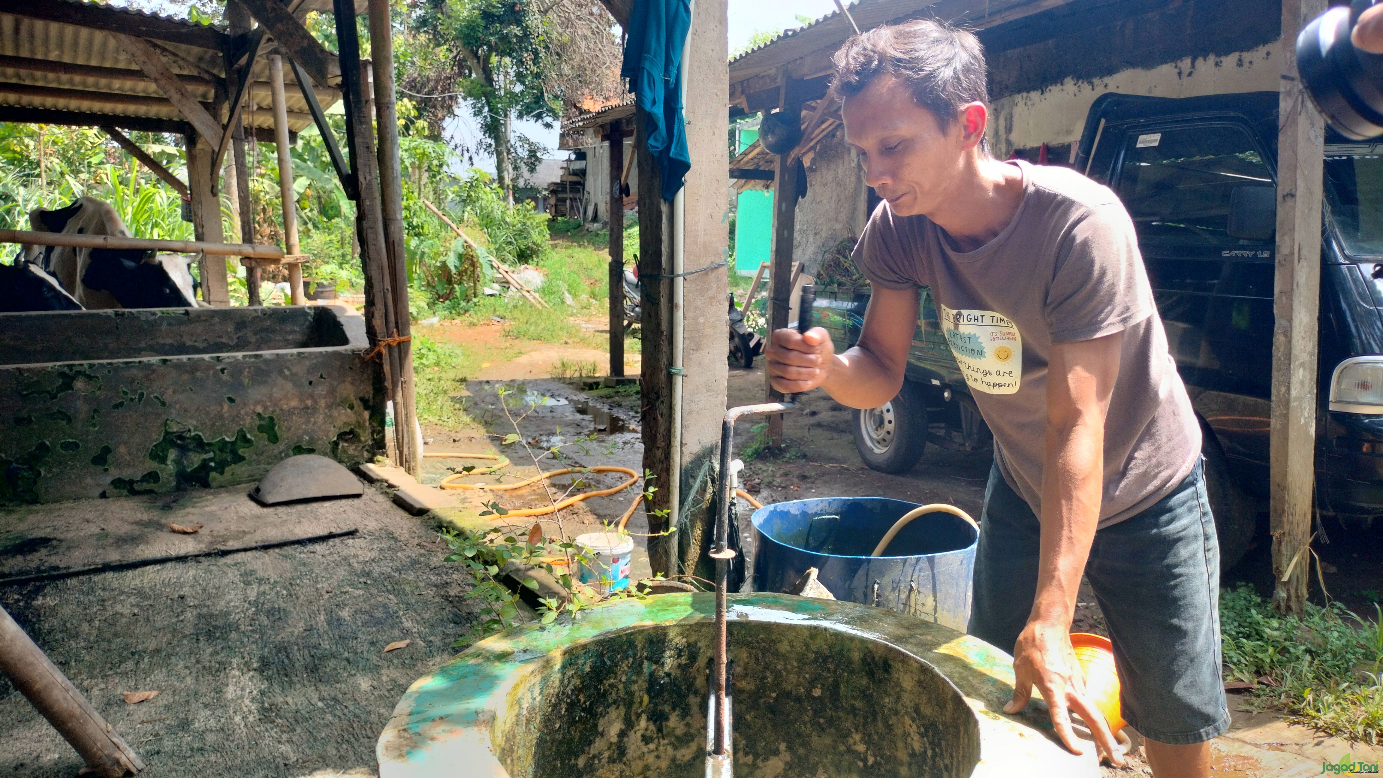 Kotoran hewan dimanfaatkan menjadi biogas