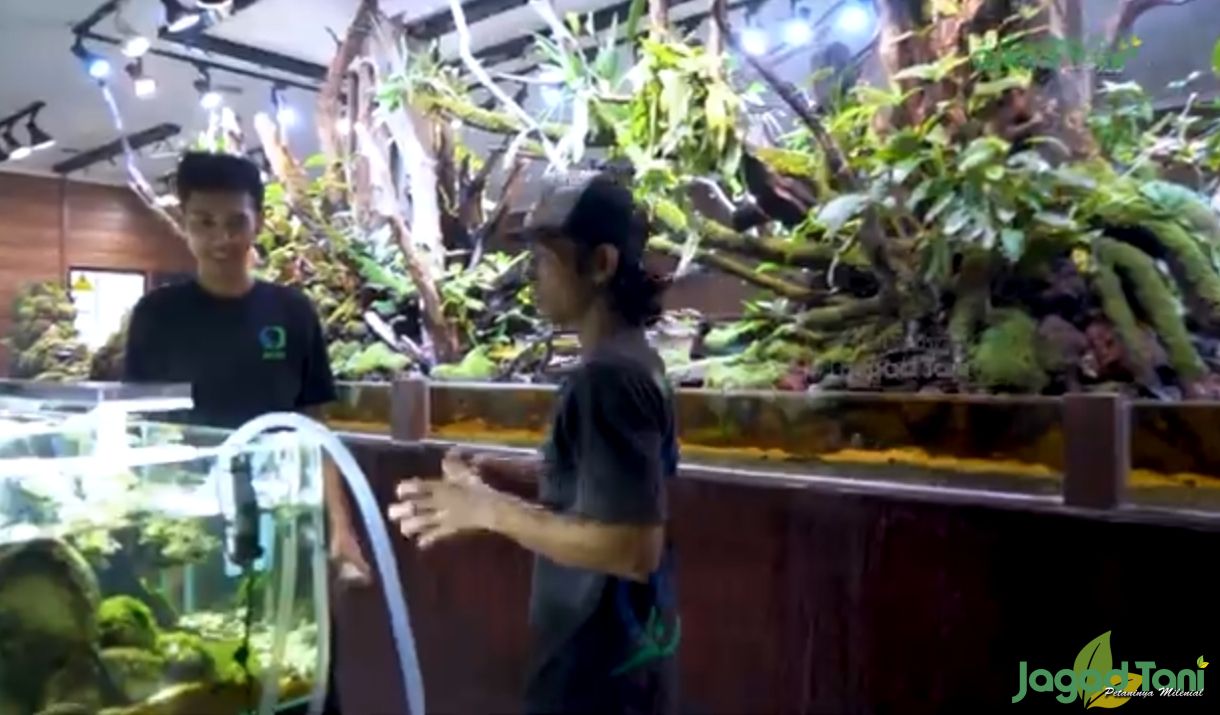 Omset ratusan juta dari bisnis Aquascape 