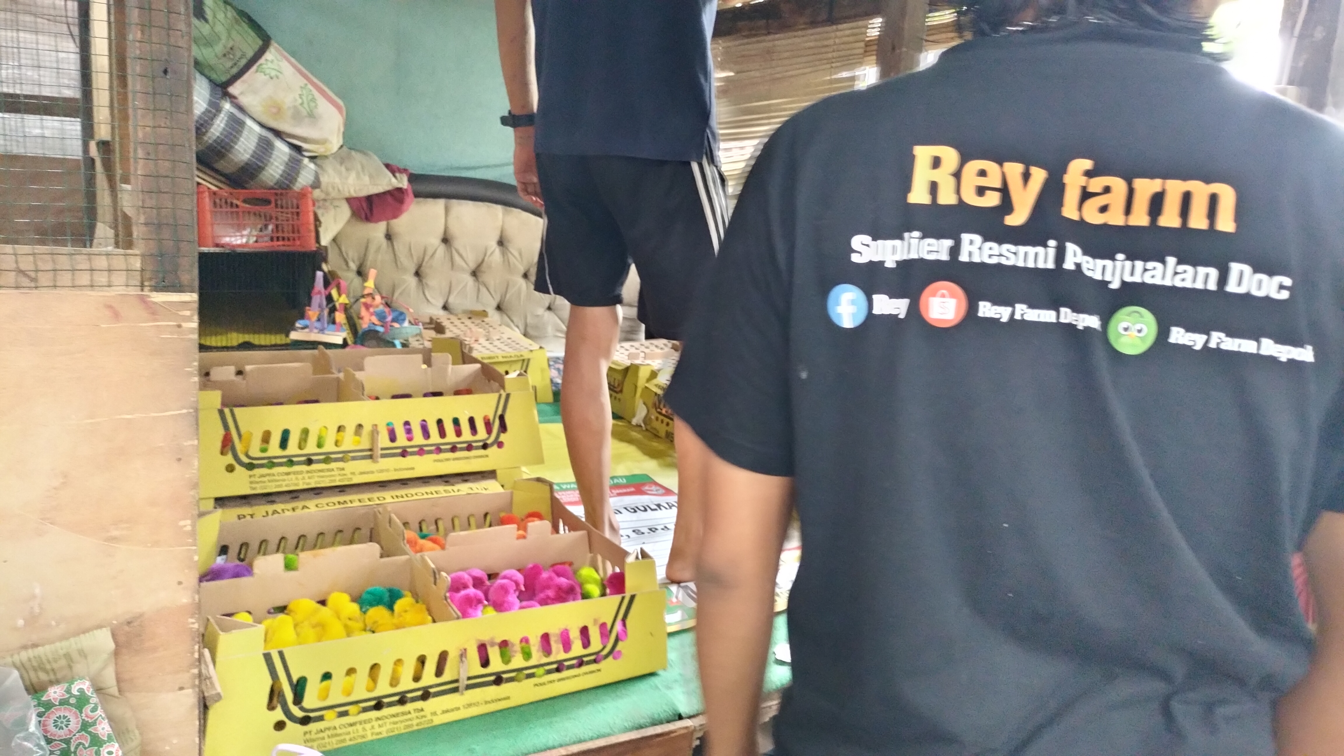 Rudi menyiapkan pesanan DOC pelangi