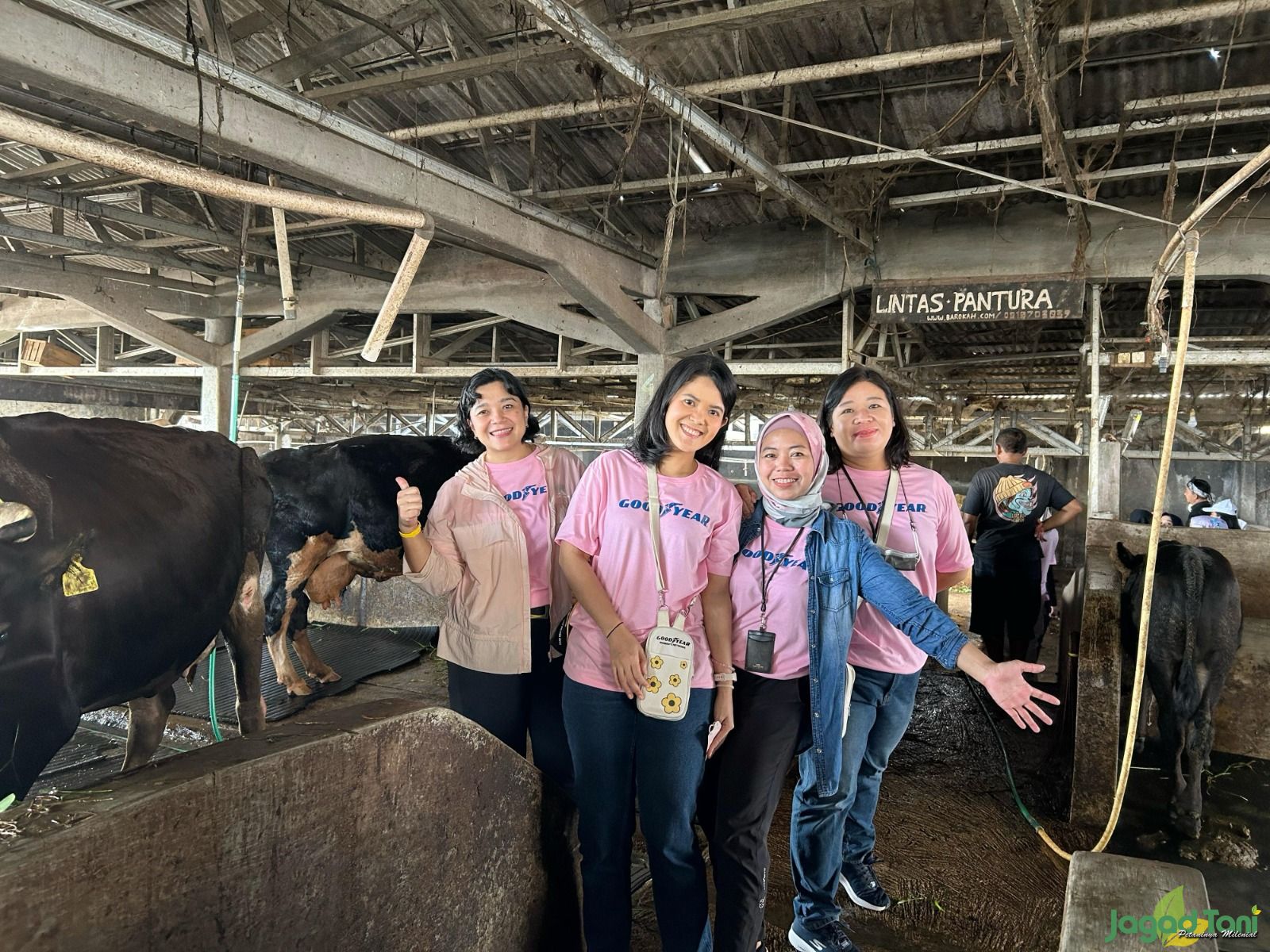 Goodyear Women’s Network (GWN) Indonesia UMKM peternakan sapi perah