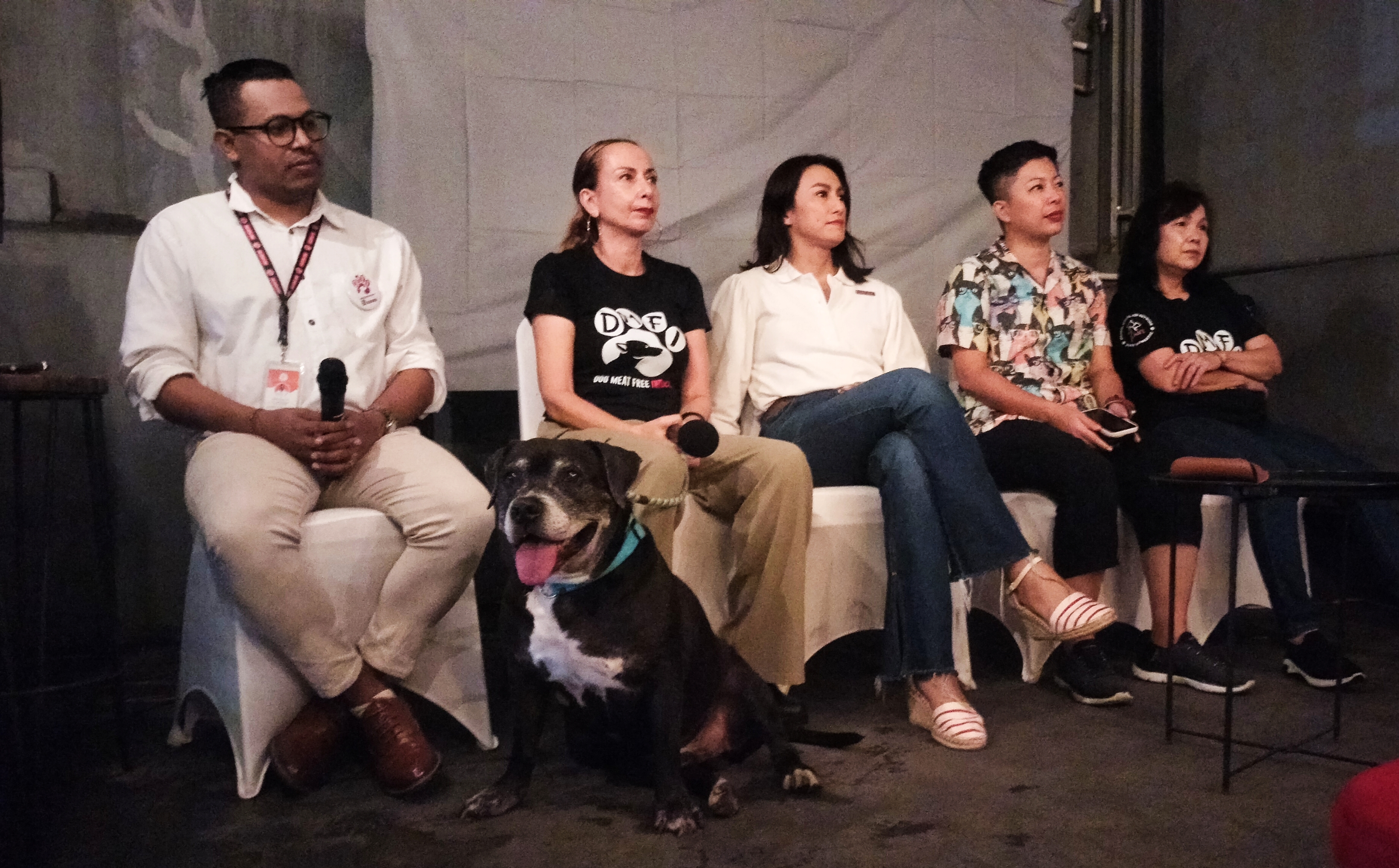 Investigasi DMFI, Perdagangan Daging Anjing Makin Mengkhawatirkan 