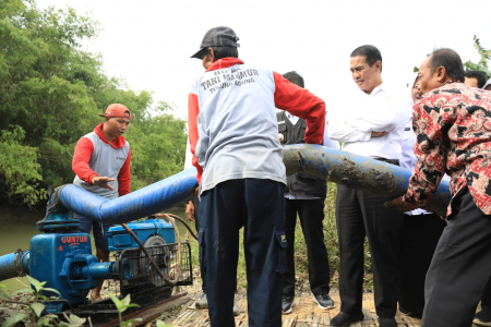 Mentan tutup keran impor jagung demi penyerapan jagung lokal