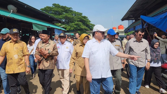 Stok pangan asal ternak masih aman