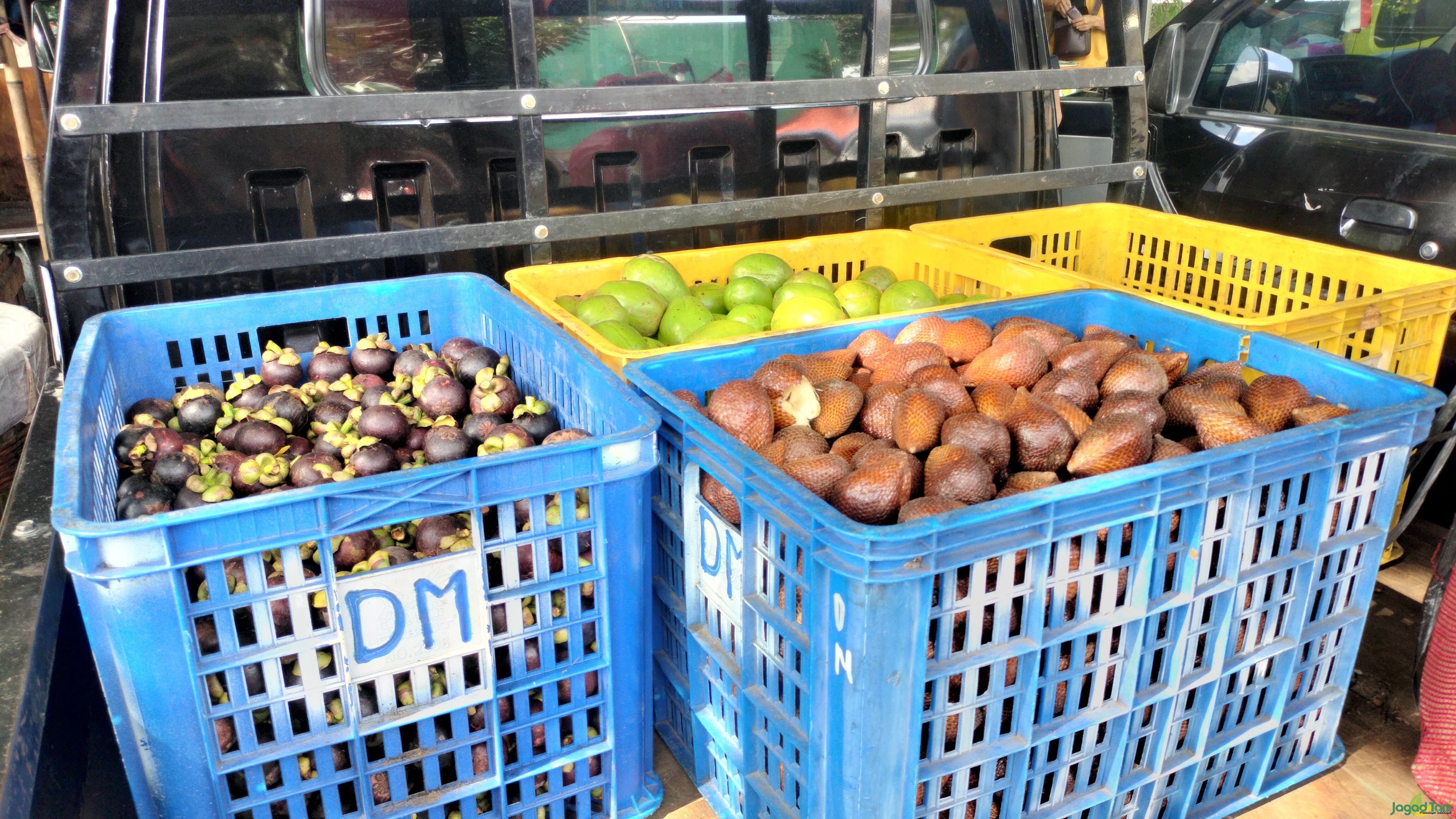 Buah-buahan yang akan diantarkan ke para pemesan
