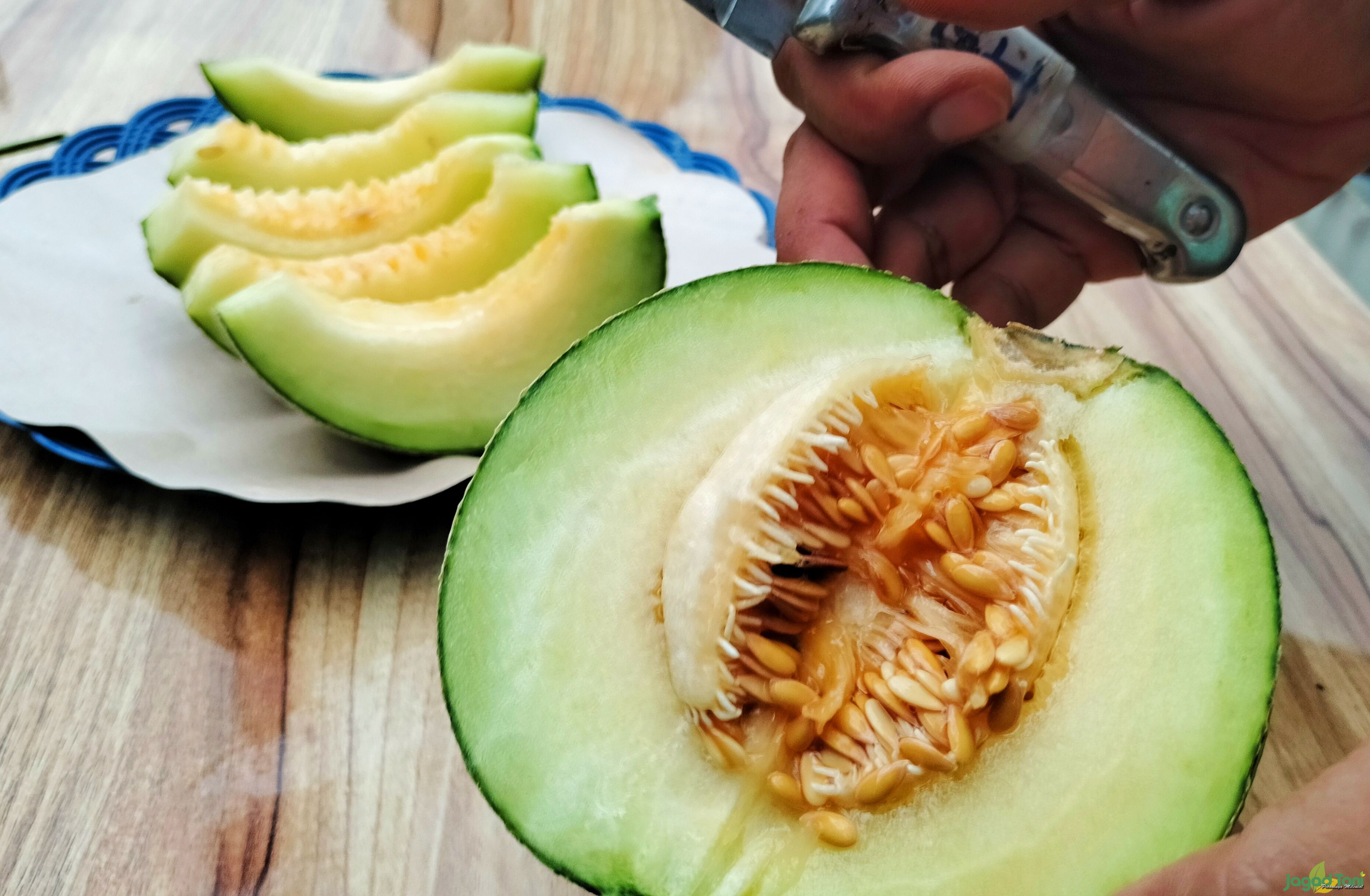 Buah melon untuk buka puasa