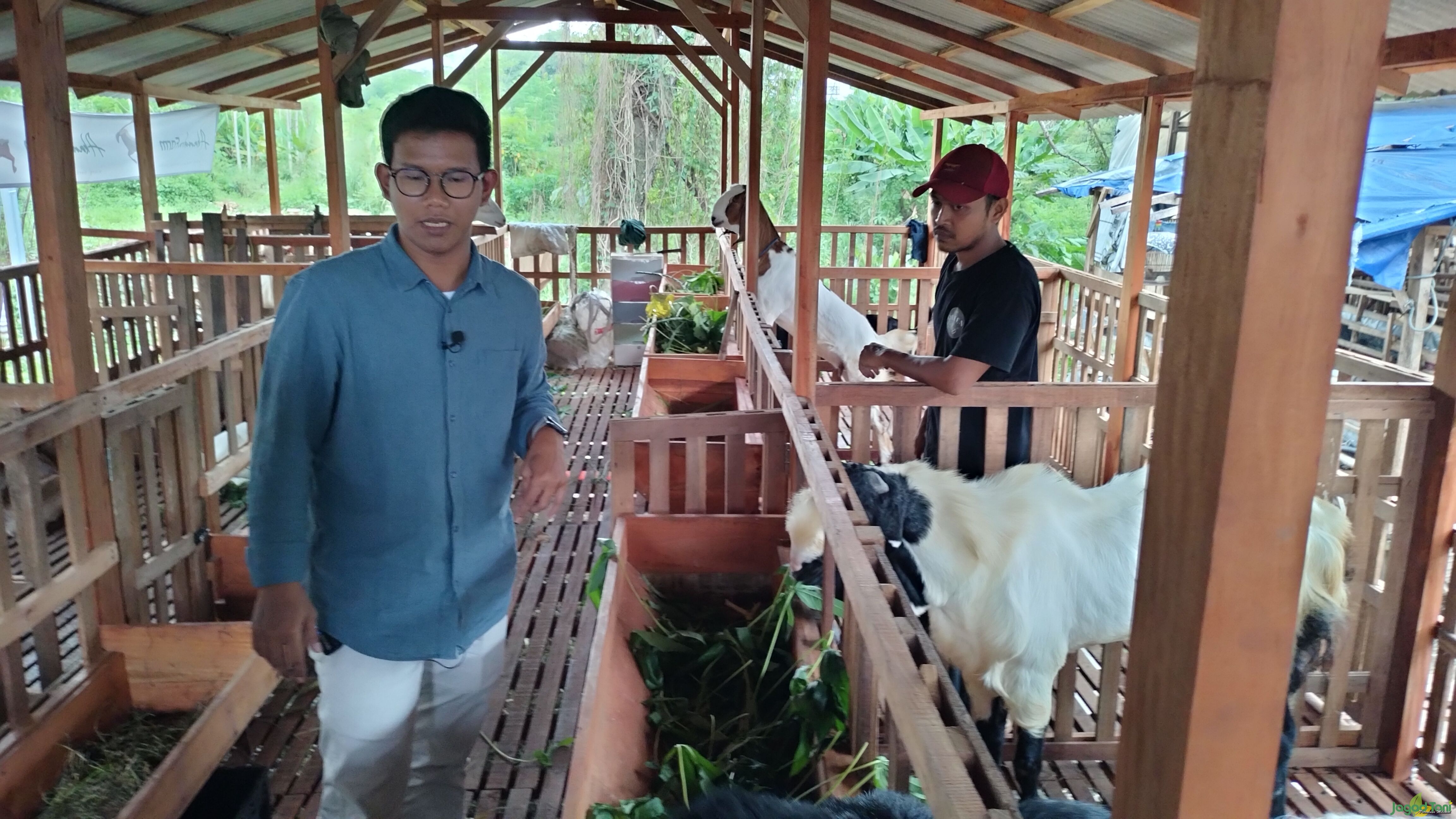 Ahmad Muzaki di Arkandra farm 