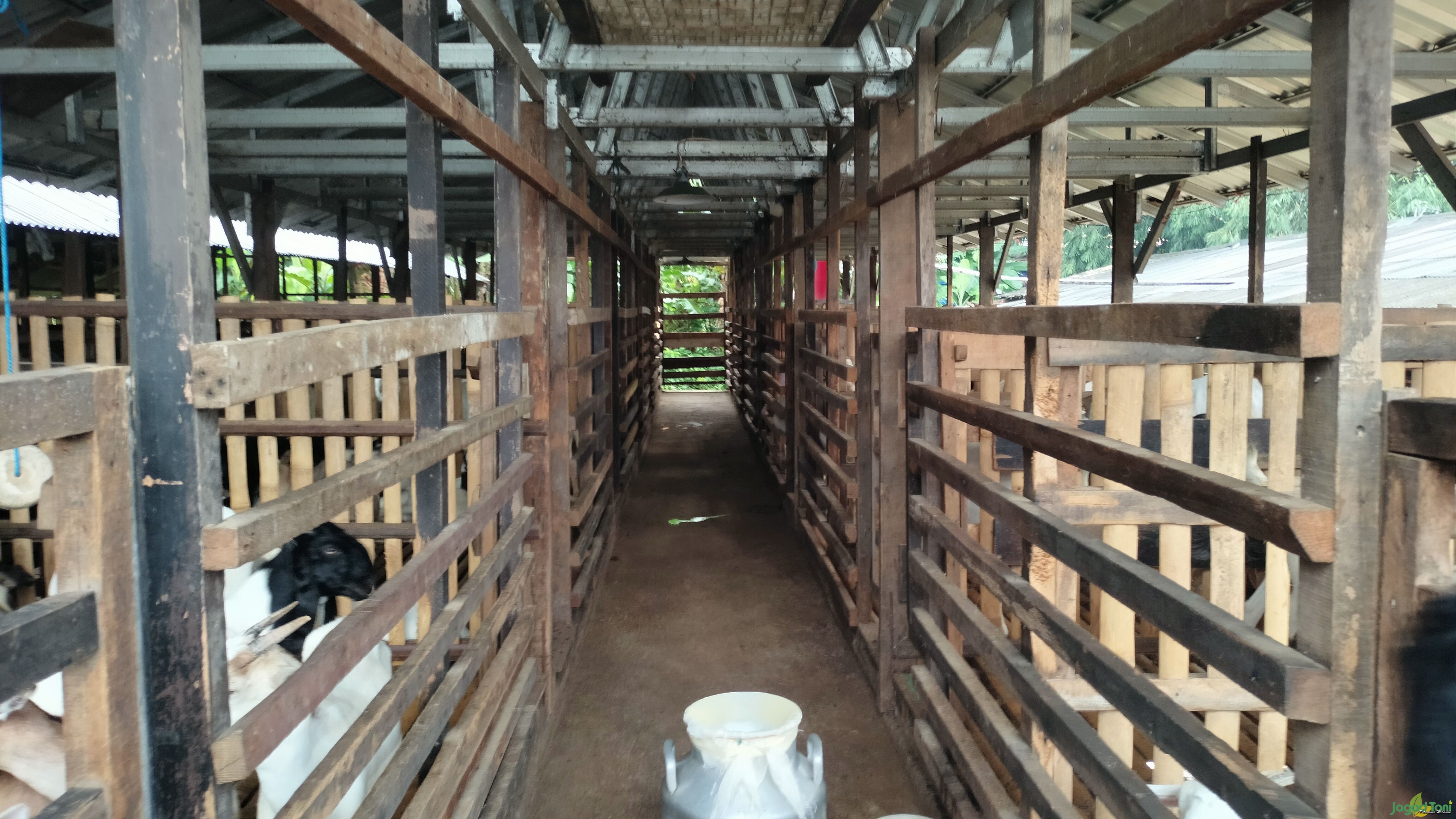 MZ Farm di kawasan Agro Wisata Halim Perdanakusuma 