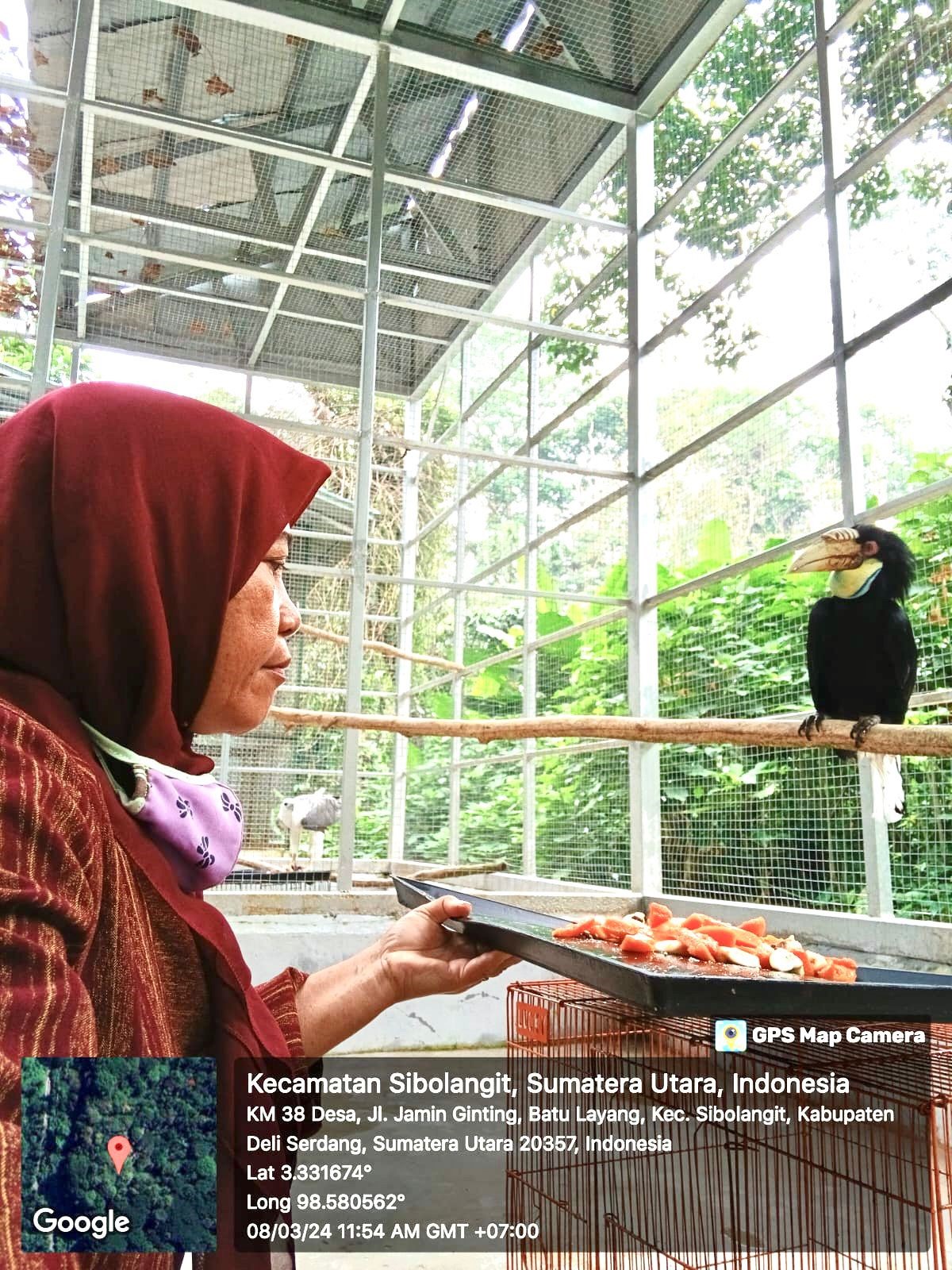 Mutiara Fridayanti Pasaribu, Pemelihara Satwa pada Pusat Penyelamatan Satwa (PPS) Sibolangit