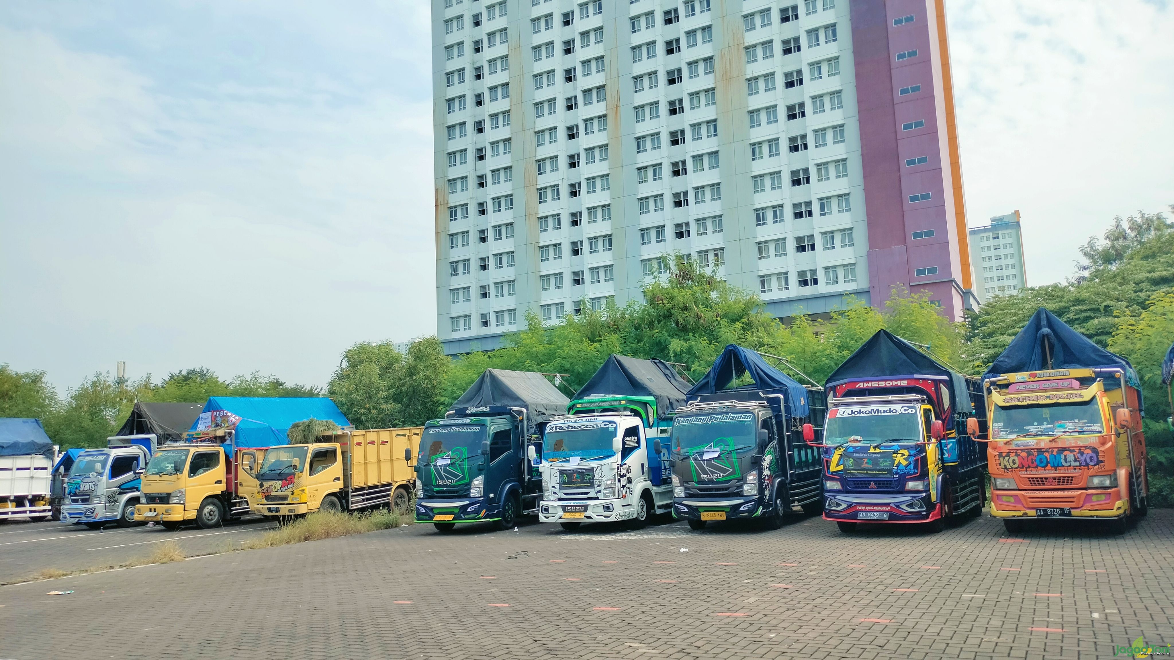 Kendaraan Andalan Peternak Sapi Kurban