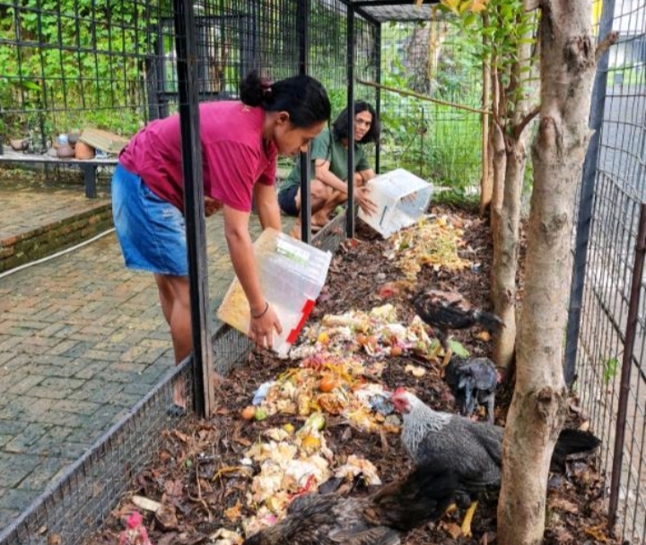 Composting Chicken Coop, Manfaatkan Limbah (kebunkumara)